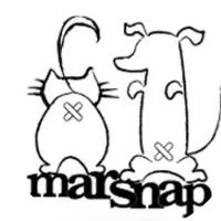 MARSNAP Pint Night
