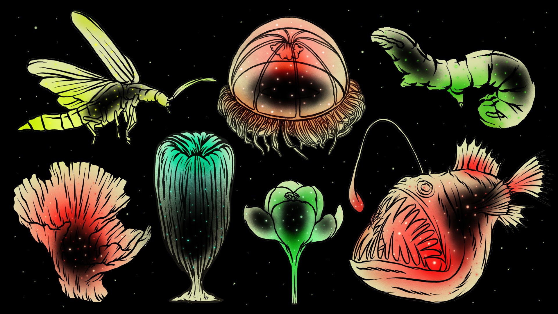 Each_organism copy.jpg