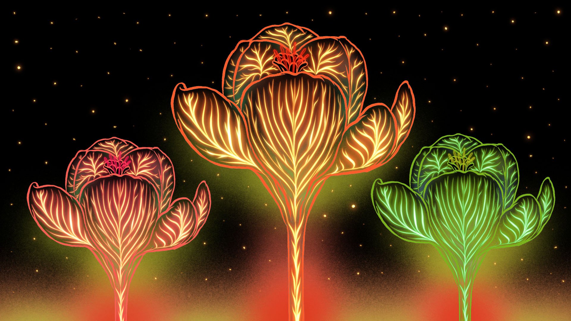 Flowers Fin copy.jpg