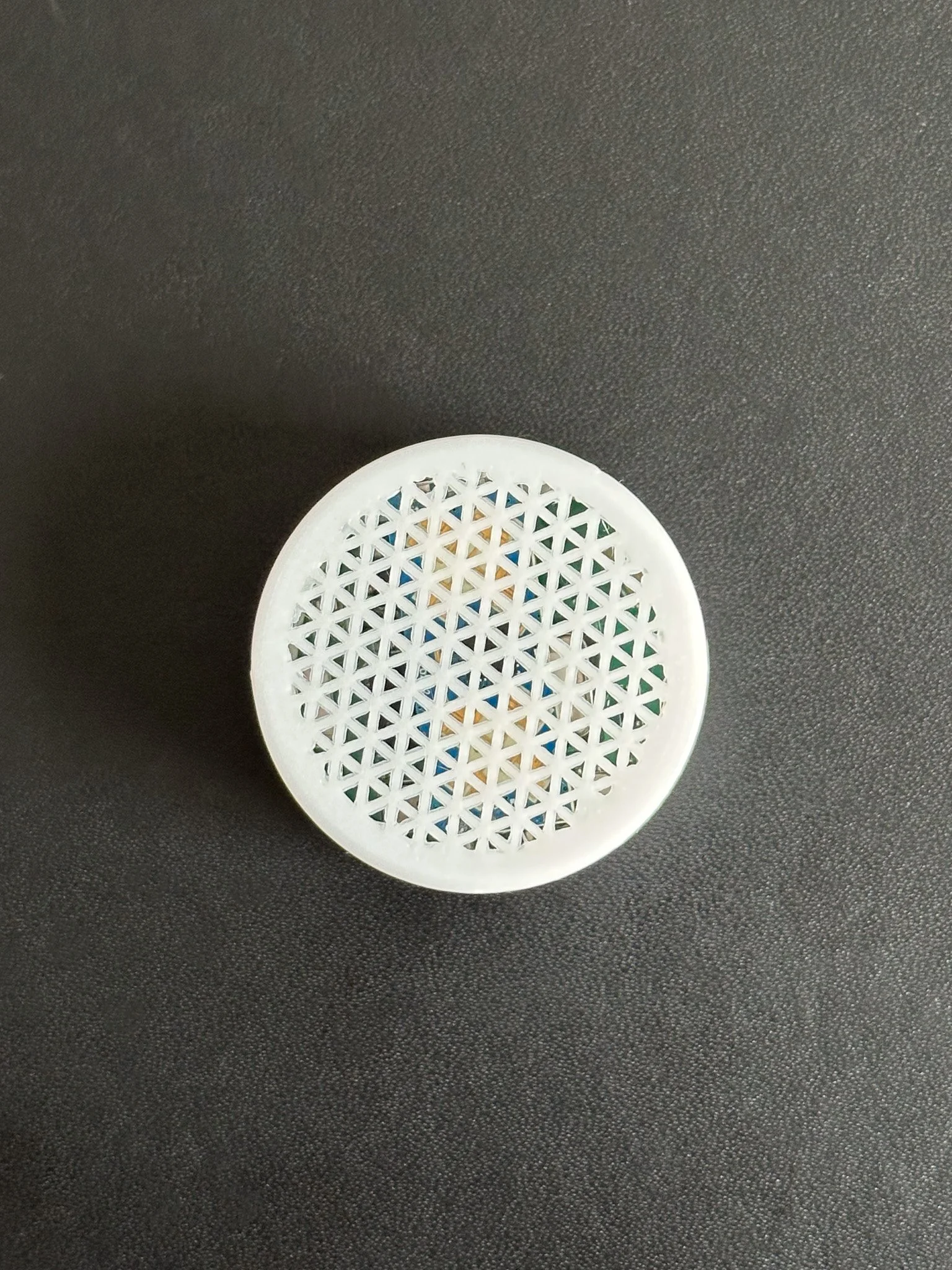 IMG_7990-Edit.jpg (Kopie)