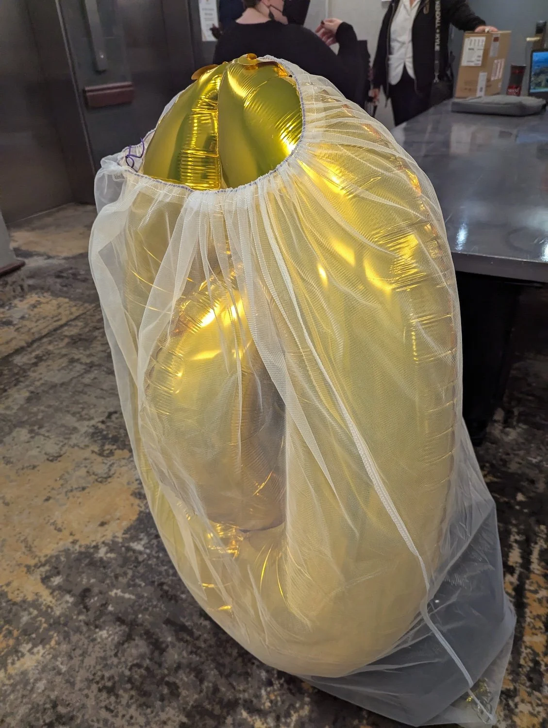 A gold foil balloon “0” from the arrangement in honour of   Grain  magazine ’s 200th issue, launched at the conference.