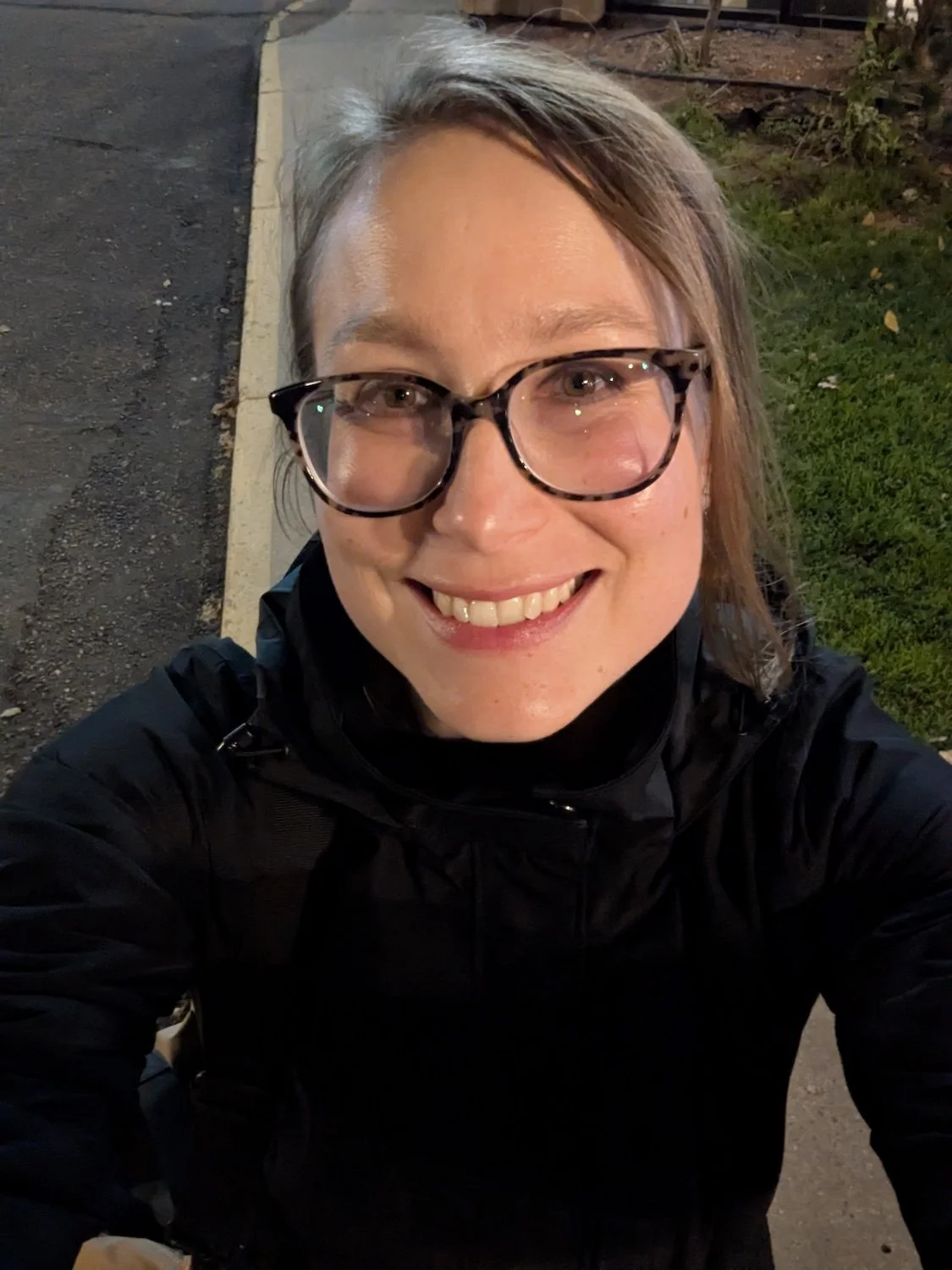 The Author’s exhausted, overly shiny mug as pictured on the sidewalk outside the hotel at the end of the conference, upon remembering that she had a photography-capable smartphone in her pocket.