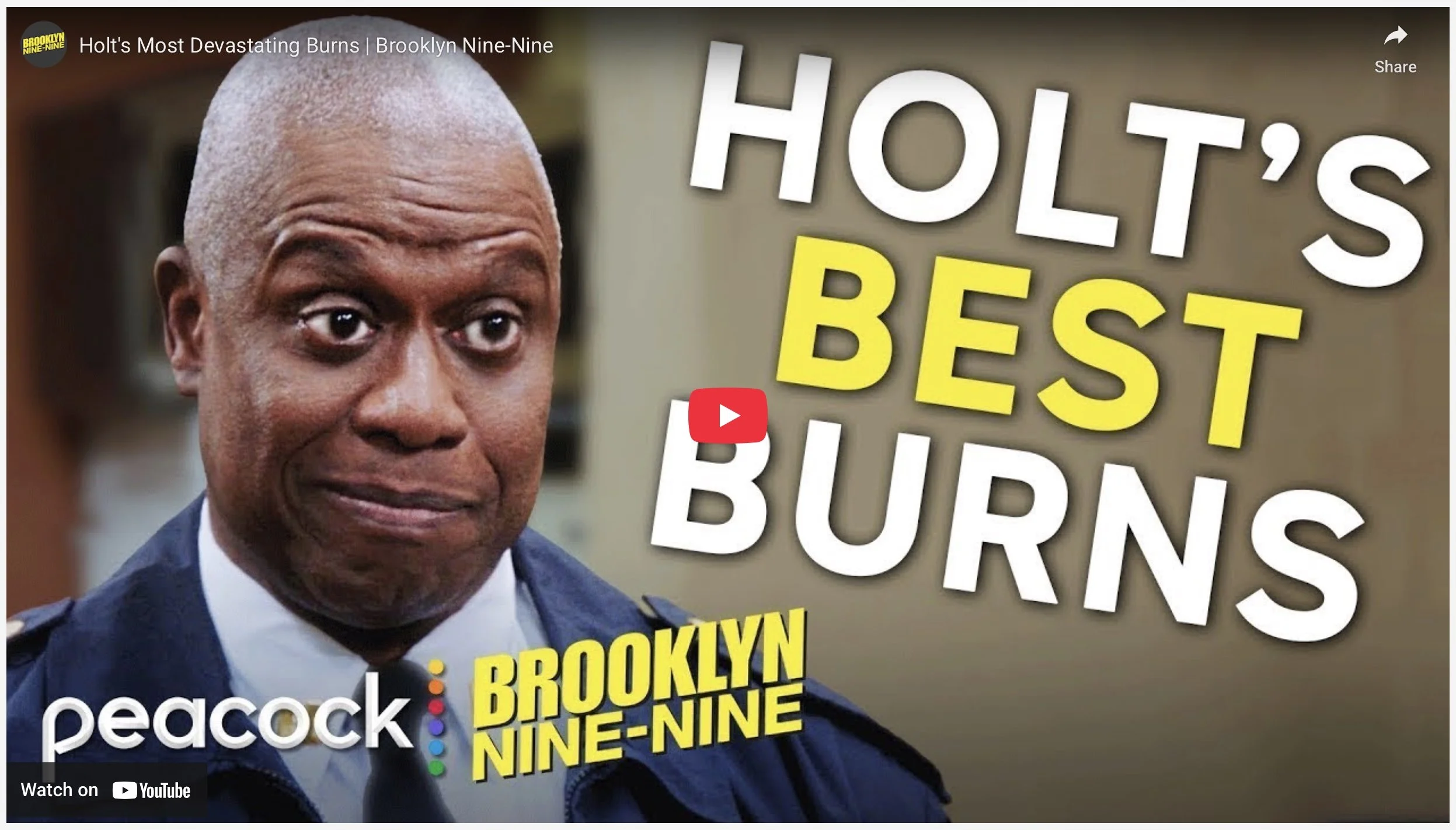 Captain Holt to the Rescue