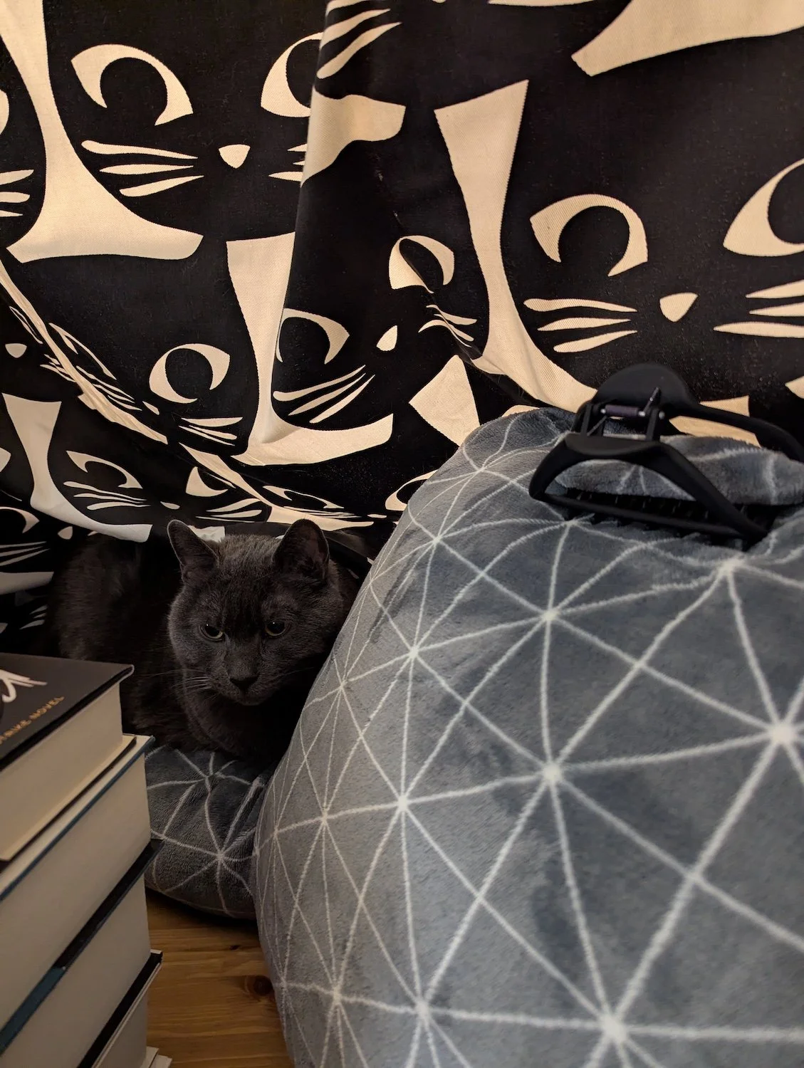 Photo of a recording area with a stack of books on a wooden desk, a backrest pillow with a claw clip on it, and a grey cat snuggled in the background beneath a black-and-white cat curtain.