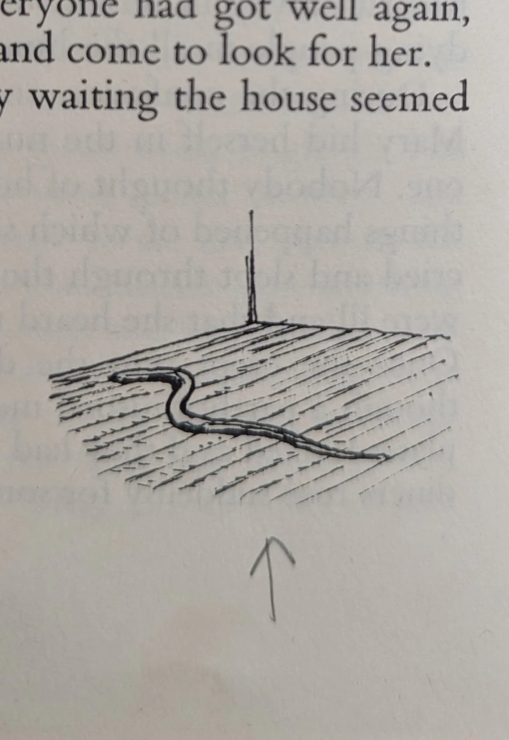 Ernest H. Shepard's illustration of the snake in Mary's bedroom.