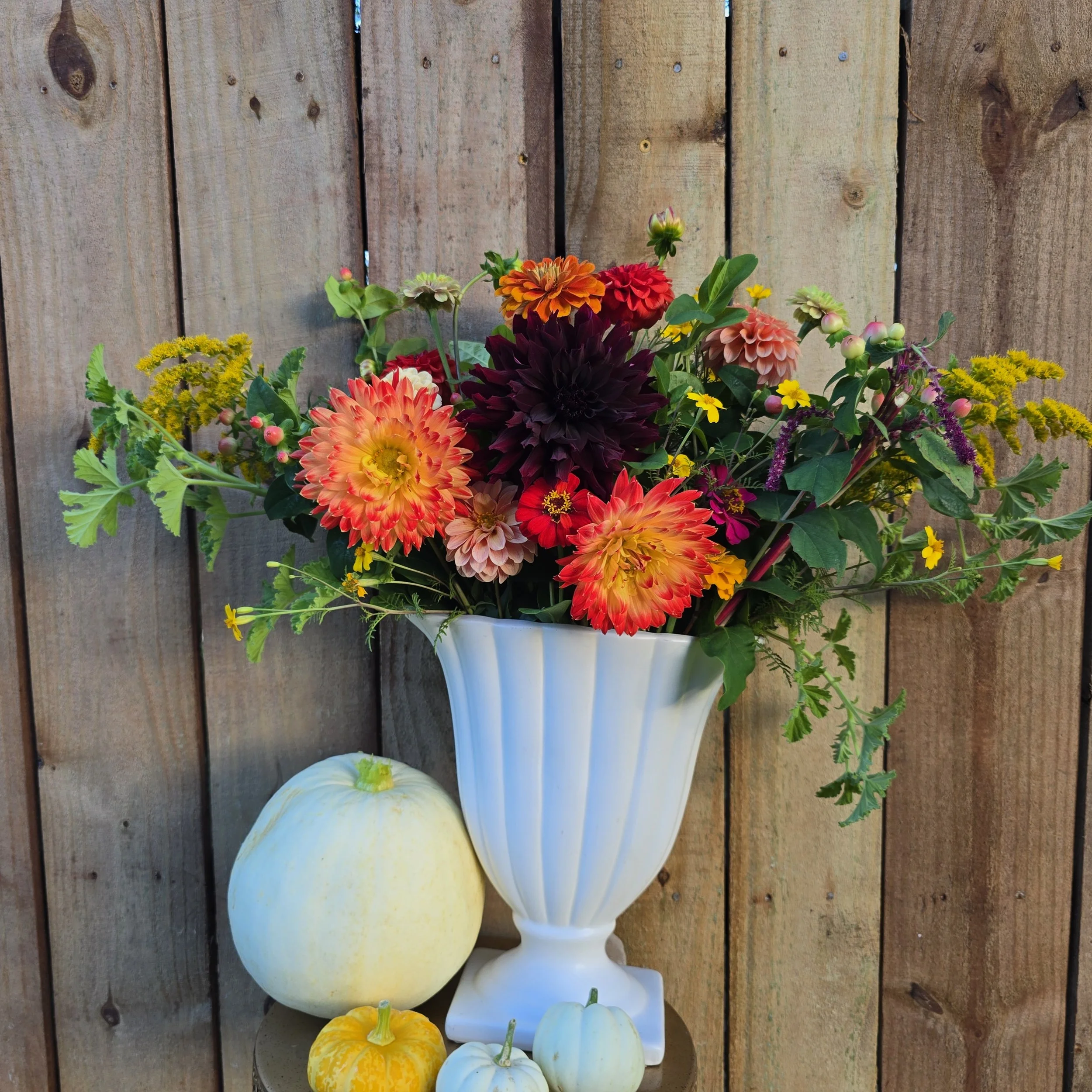 2026 Front Door Blooms Subscription Services