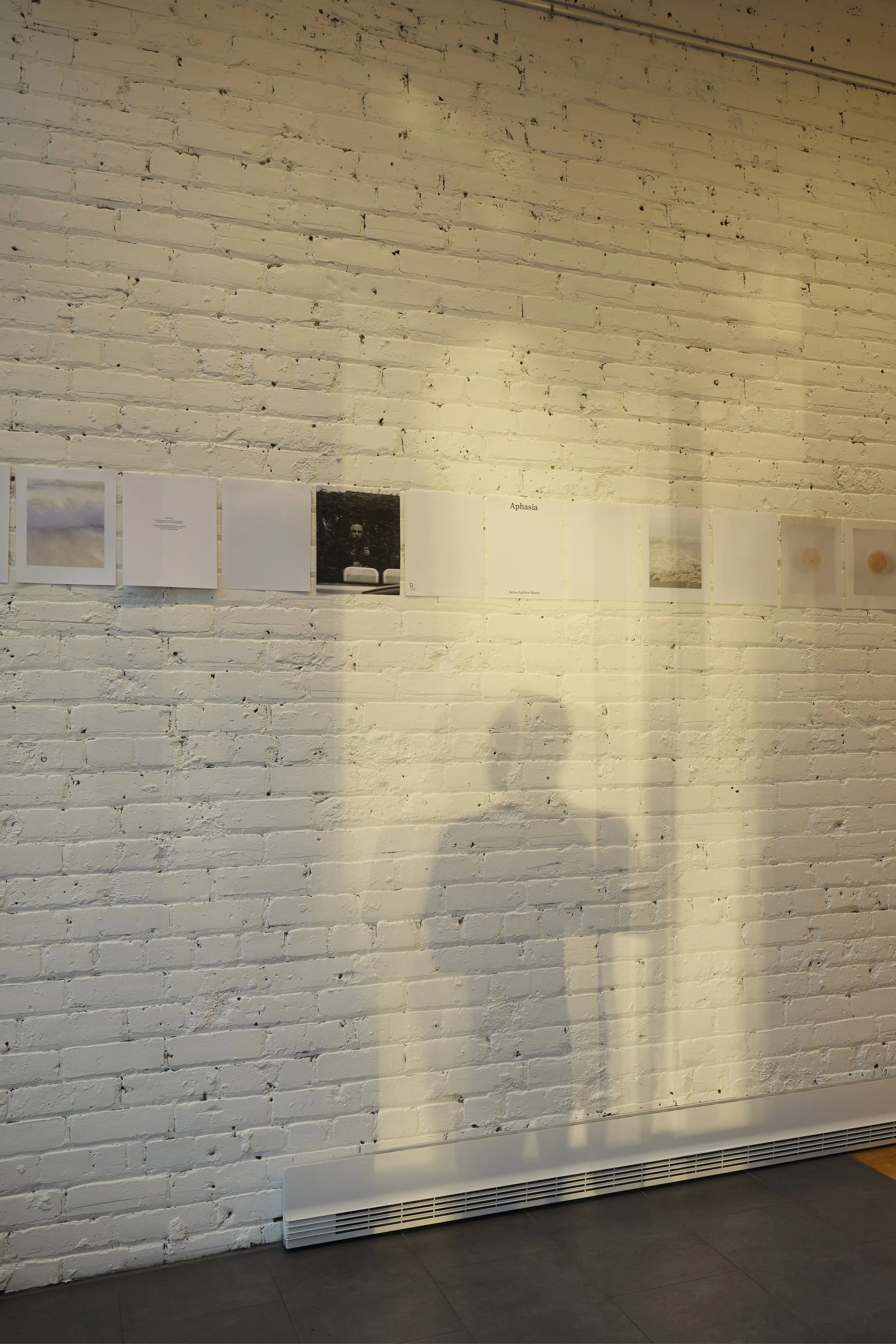 0P8A3609.jpg