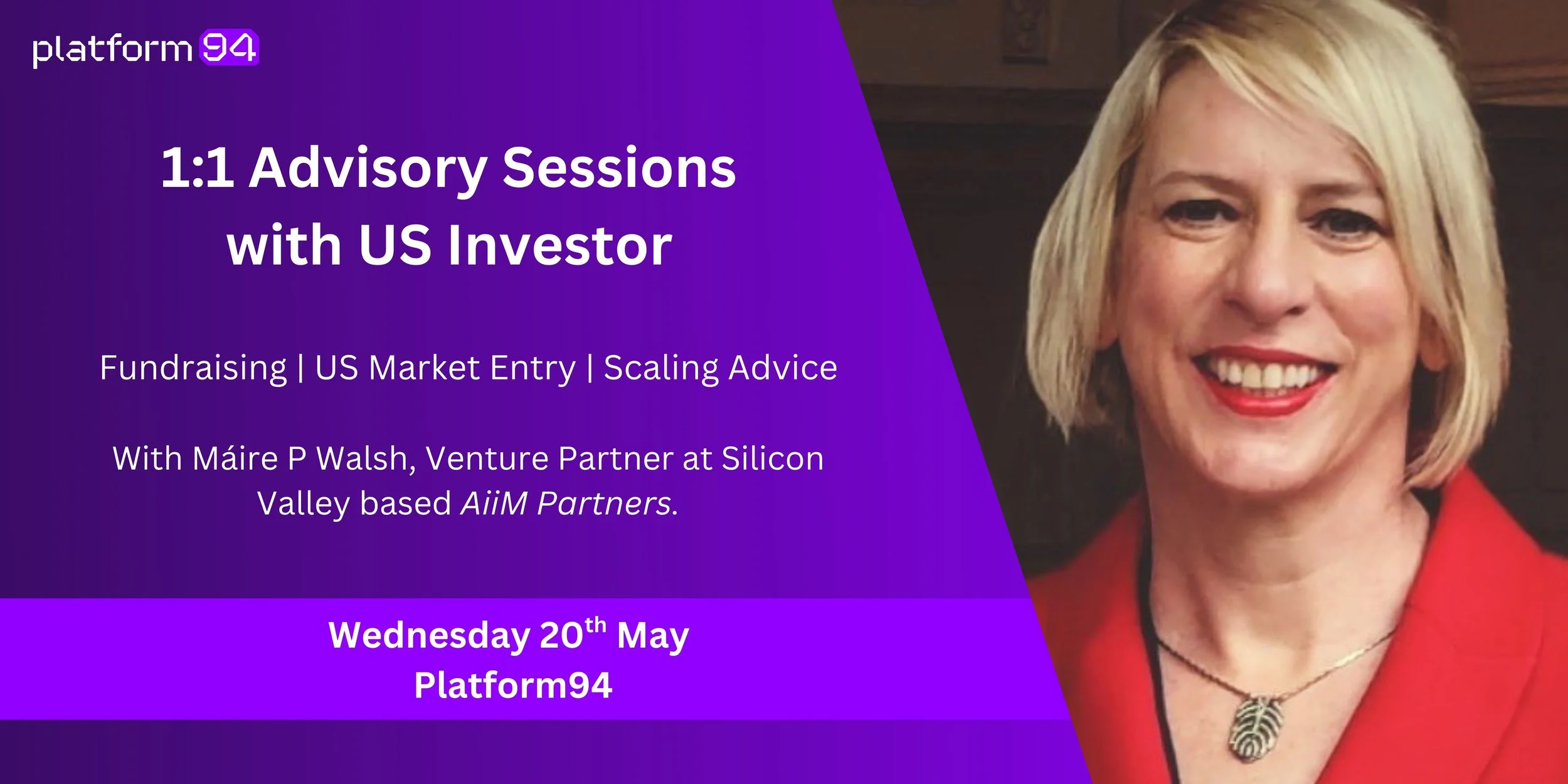 1:1 Advisory Sessions with US Investor 
