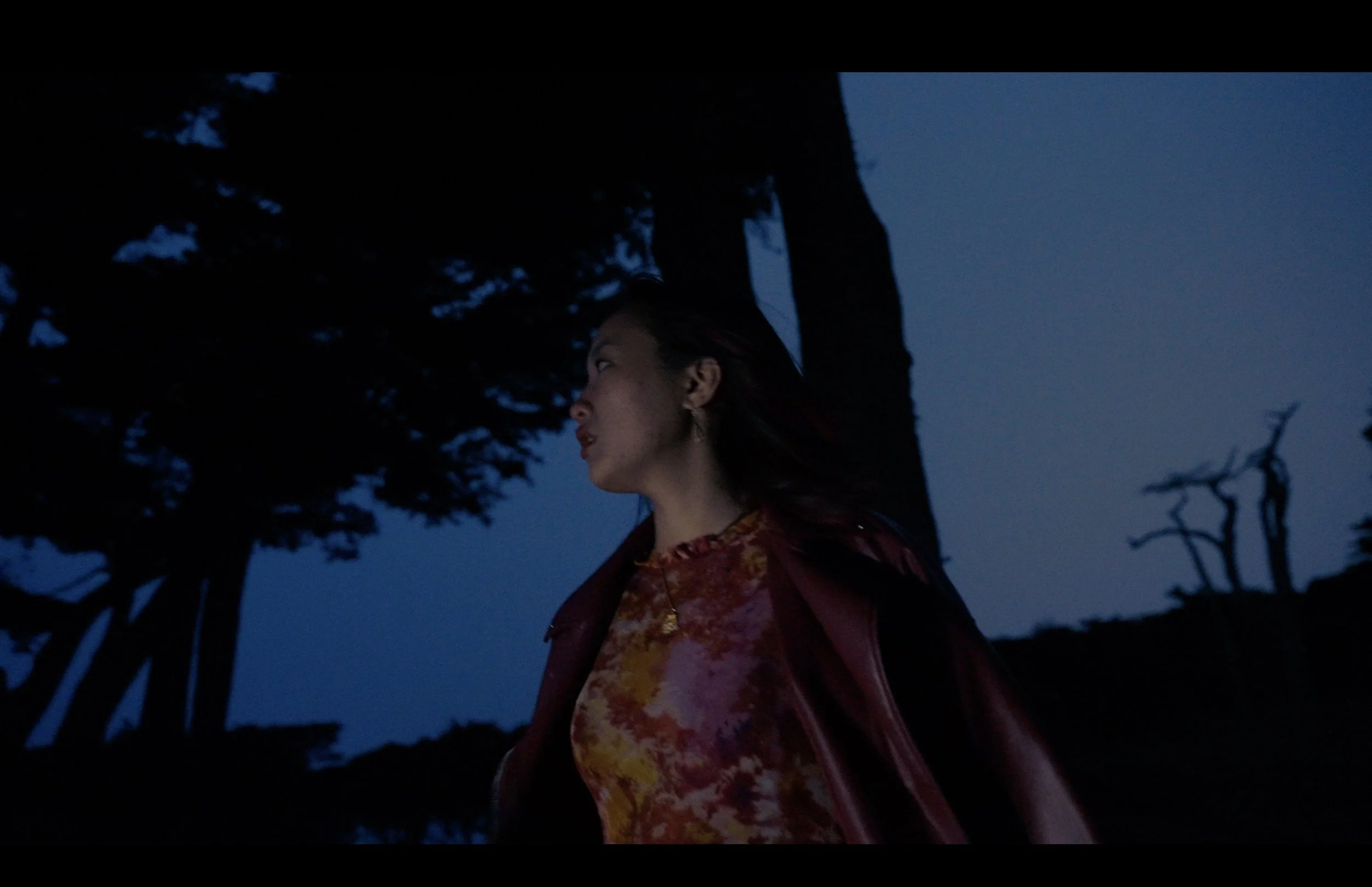 Screenshot 2025-11-11 at 3.50.57 PM.jpeg