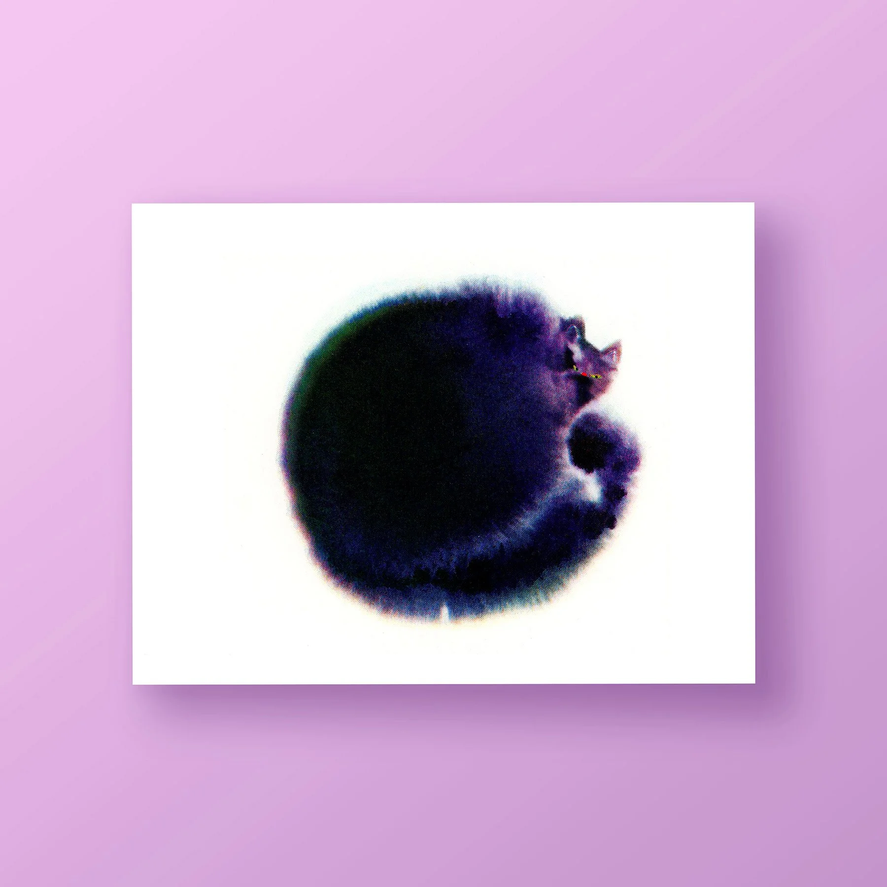 A risograph print of a dark round fuzzy cat set against a white background and framed on a lavender wall.