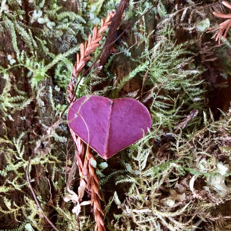 Love Is