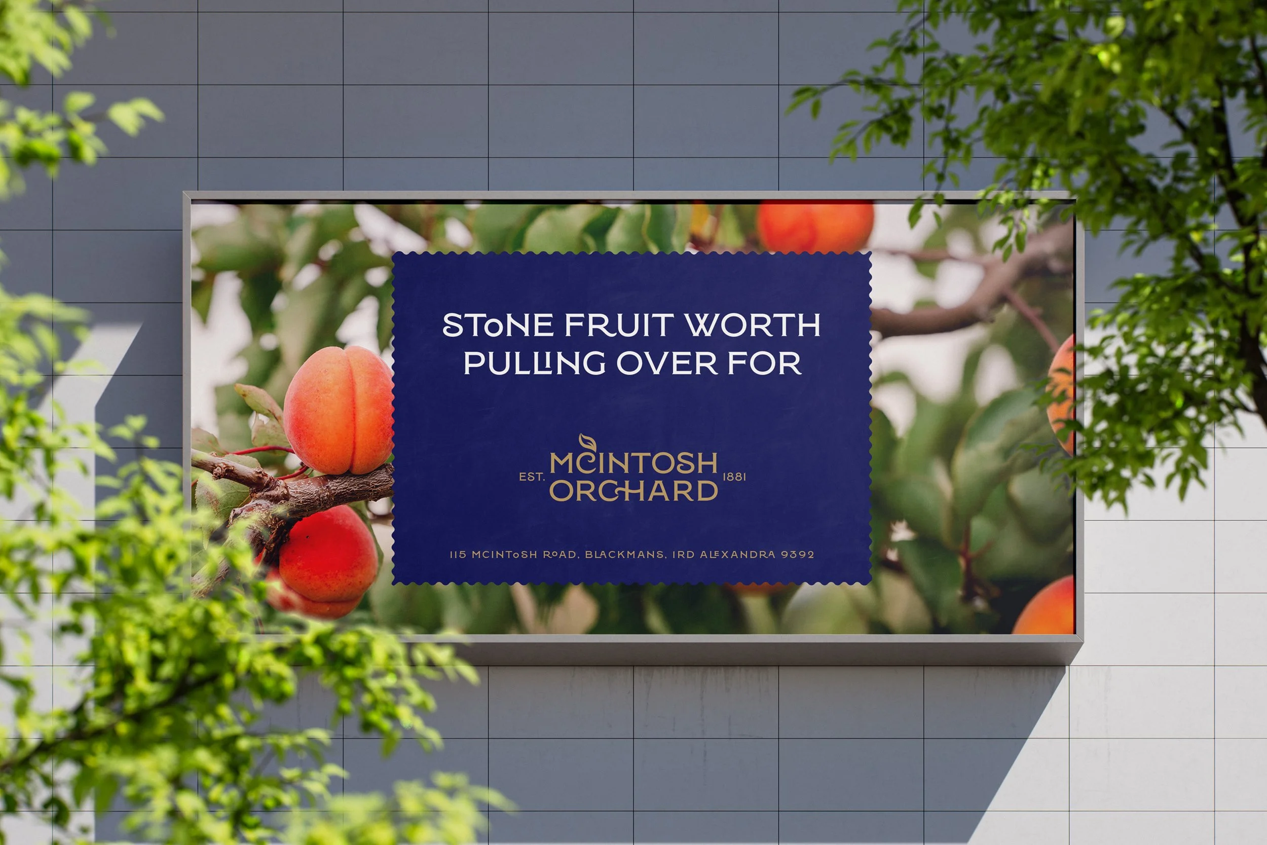 McIntosh Orchard — Brand Refresh & Packaging Design