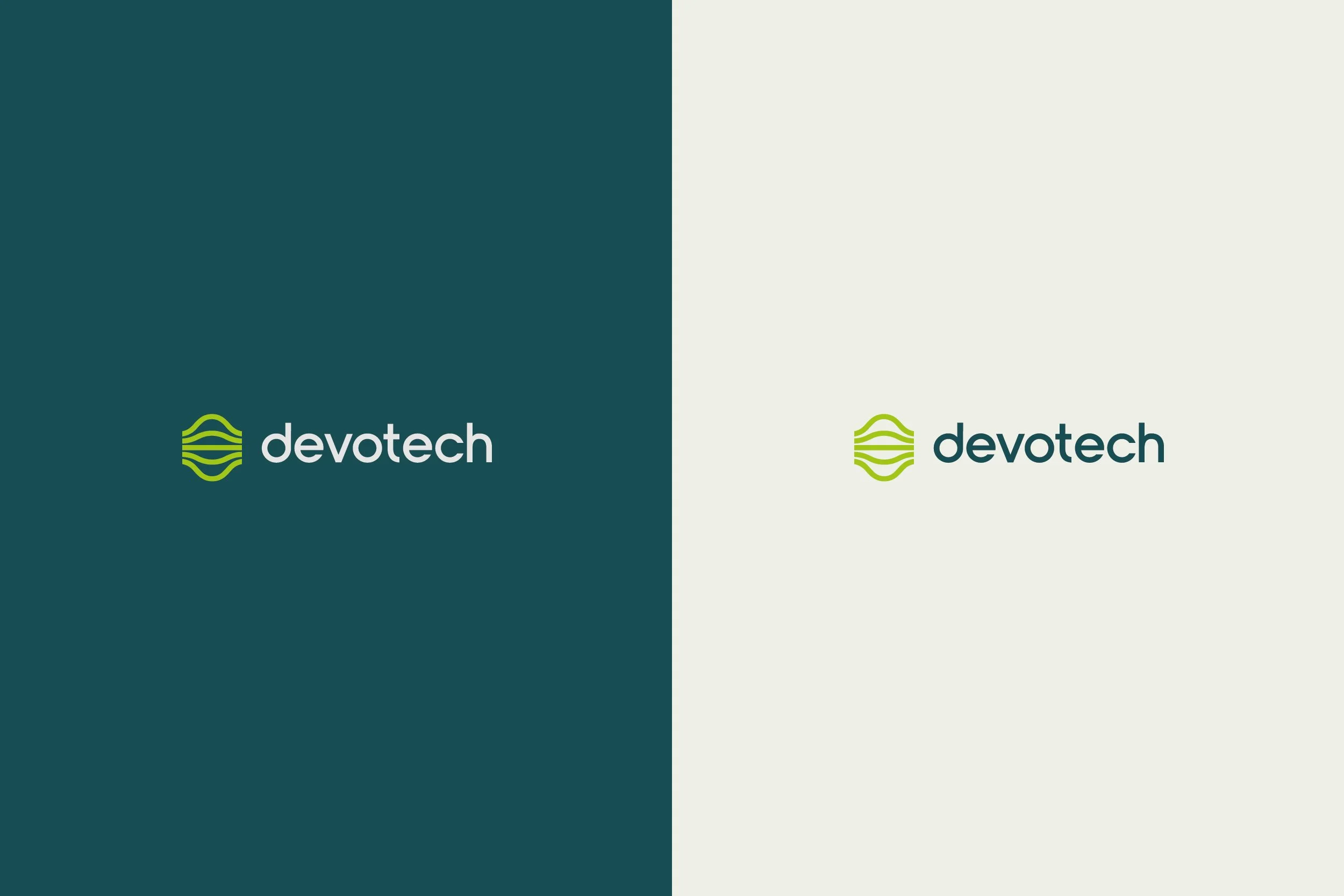 Devotech Web pages2.jpg