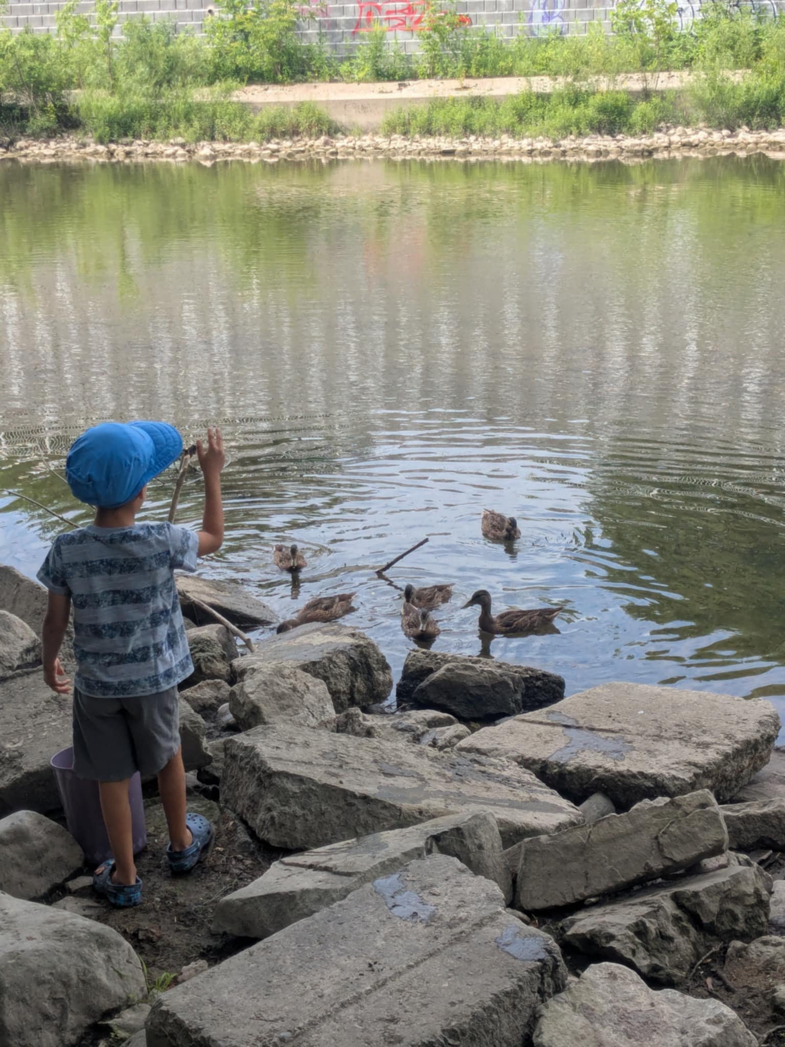 Messenger_creation_1B07549D-EEFE-4759-B578-EC6A9152BC49.jpeg