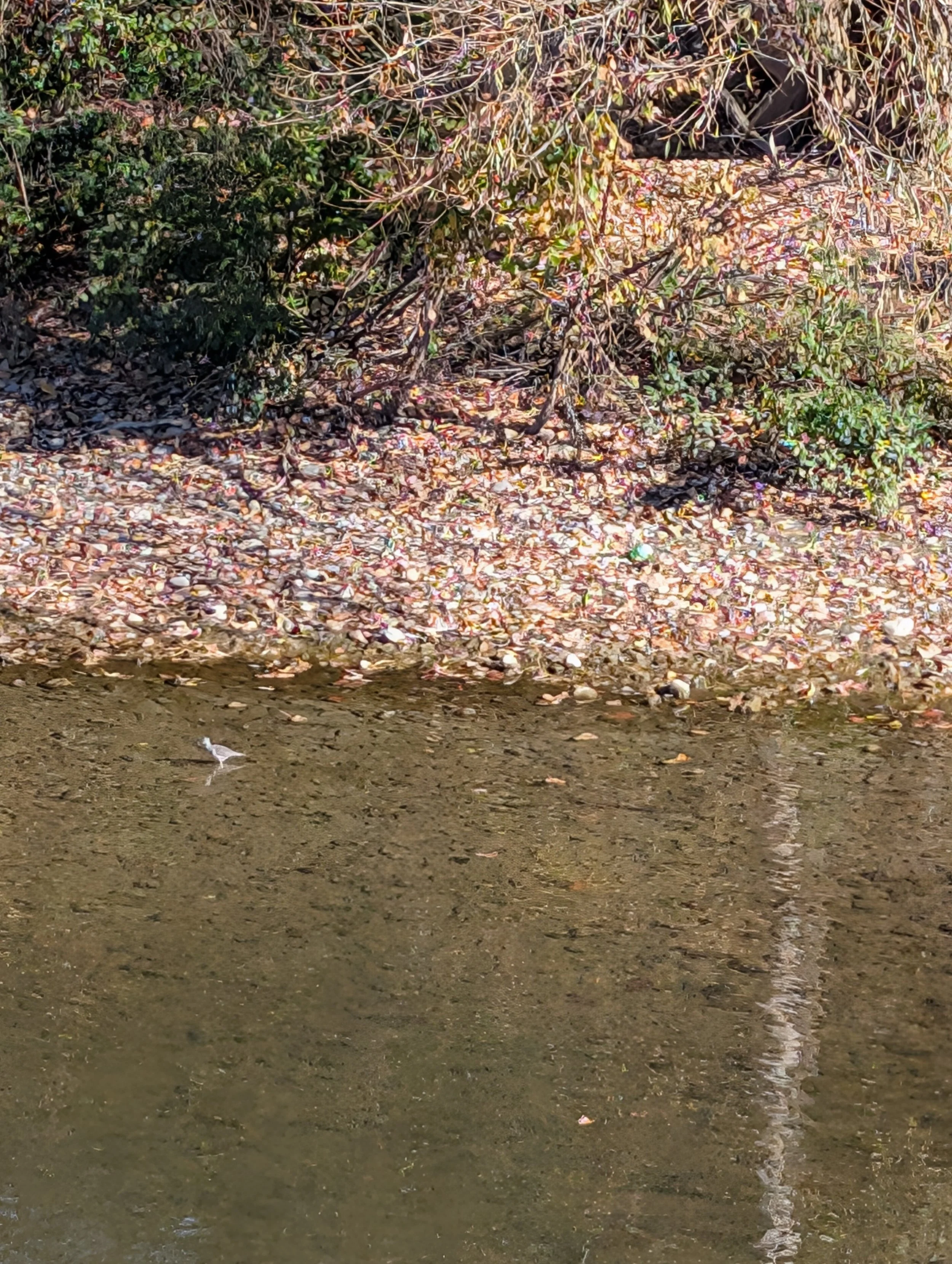 PXL_20261022_152018516.jpg