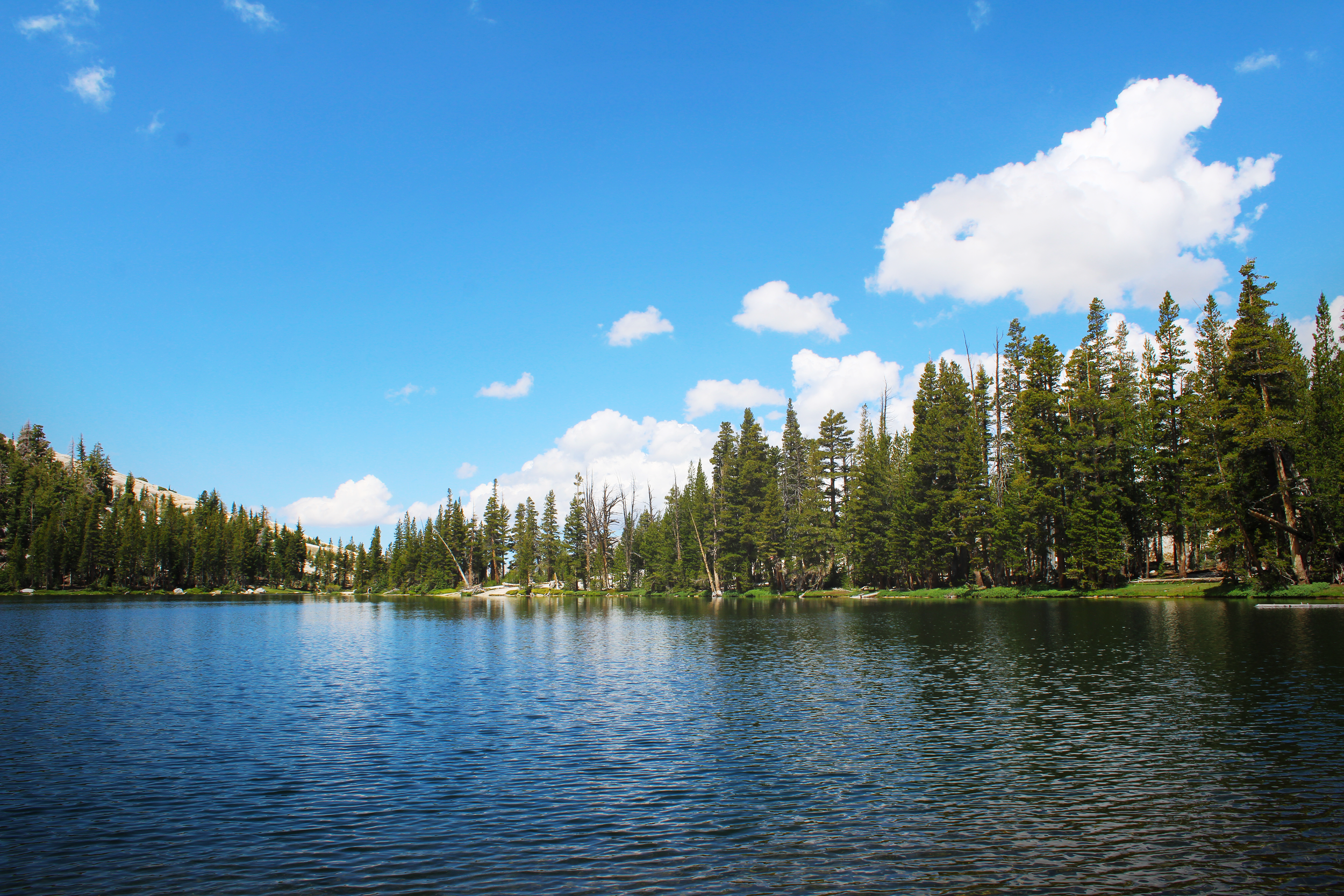 Lake View 1.png