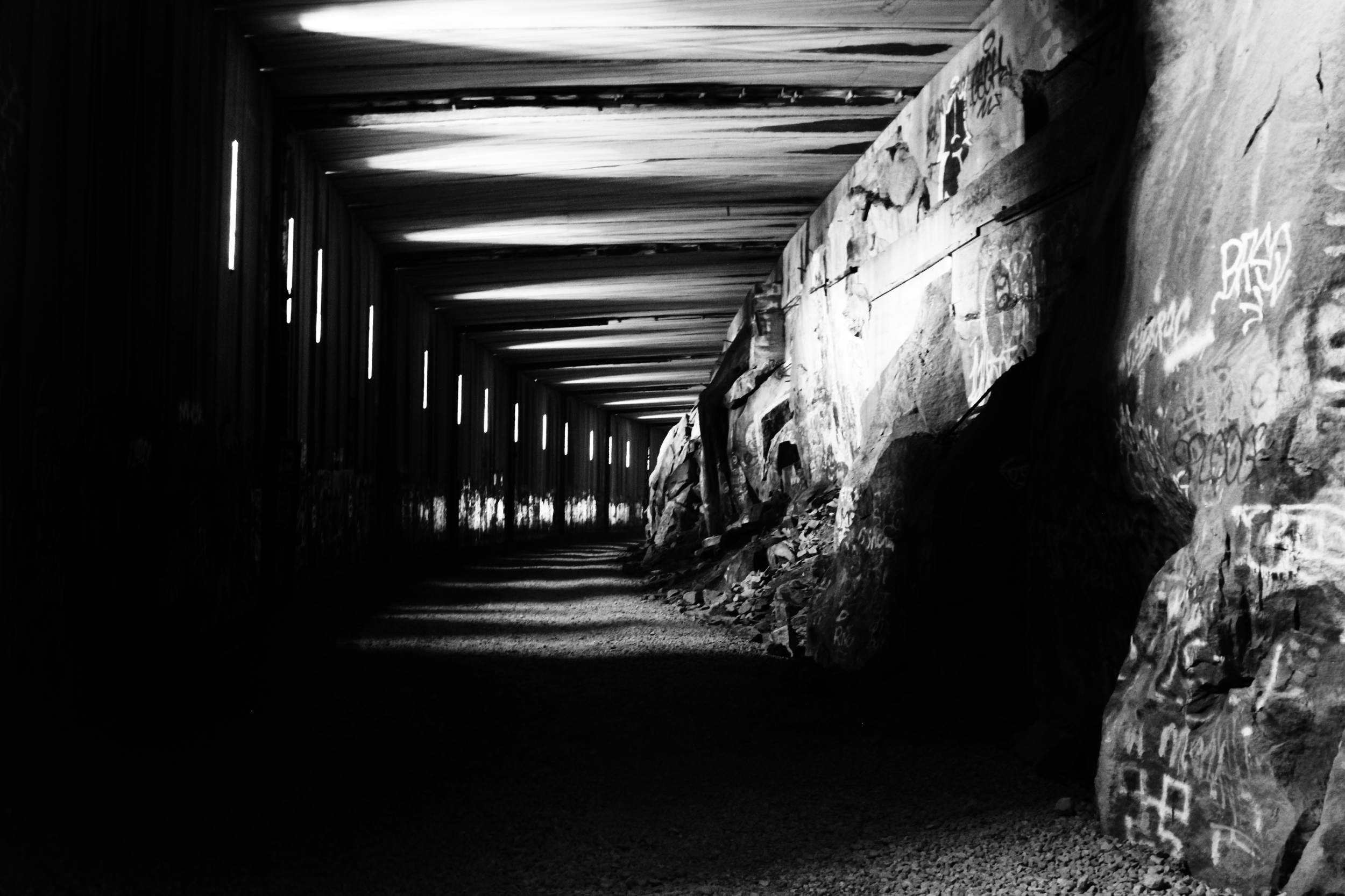 Black n White Tunnel.png