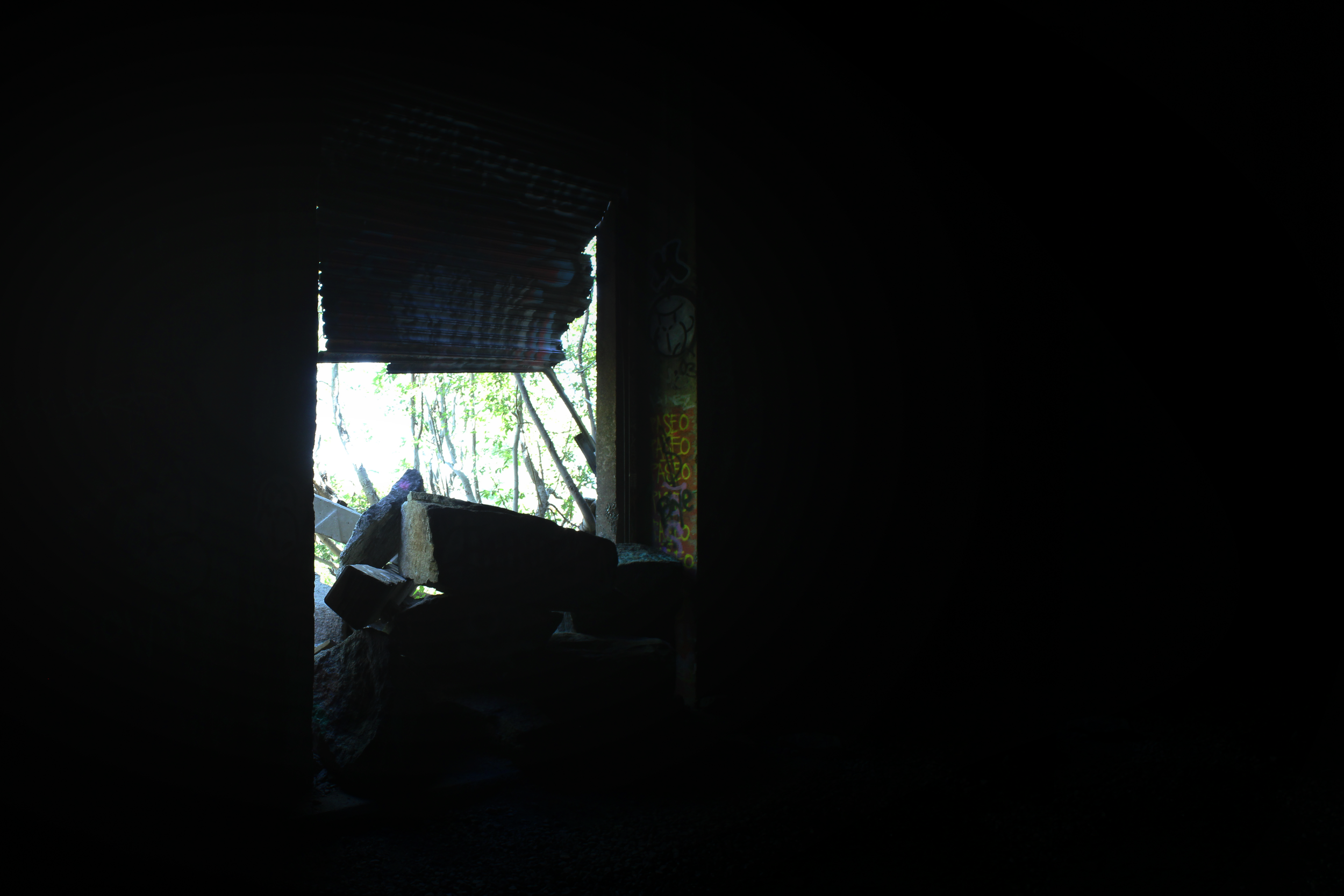 Window Of Light.png