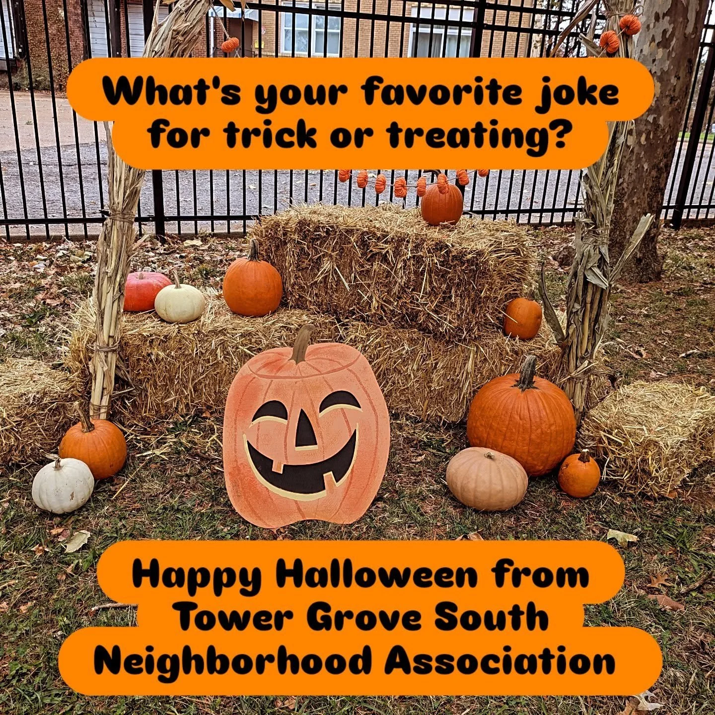 Wishing a happy Halloween to all those trick or treating and passing out candy in Tower Grove South tonight!