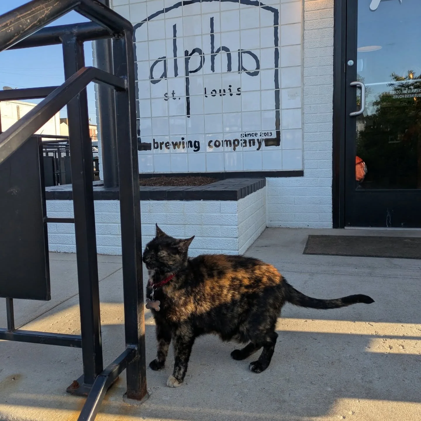 We're outside at Alpha ready to meet our neighbors! Stop by between 6-8. Have some fun and enjoy some delicious appetizers!