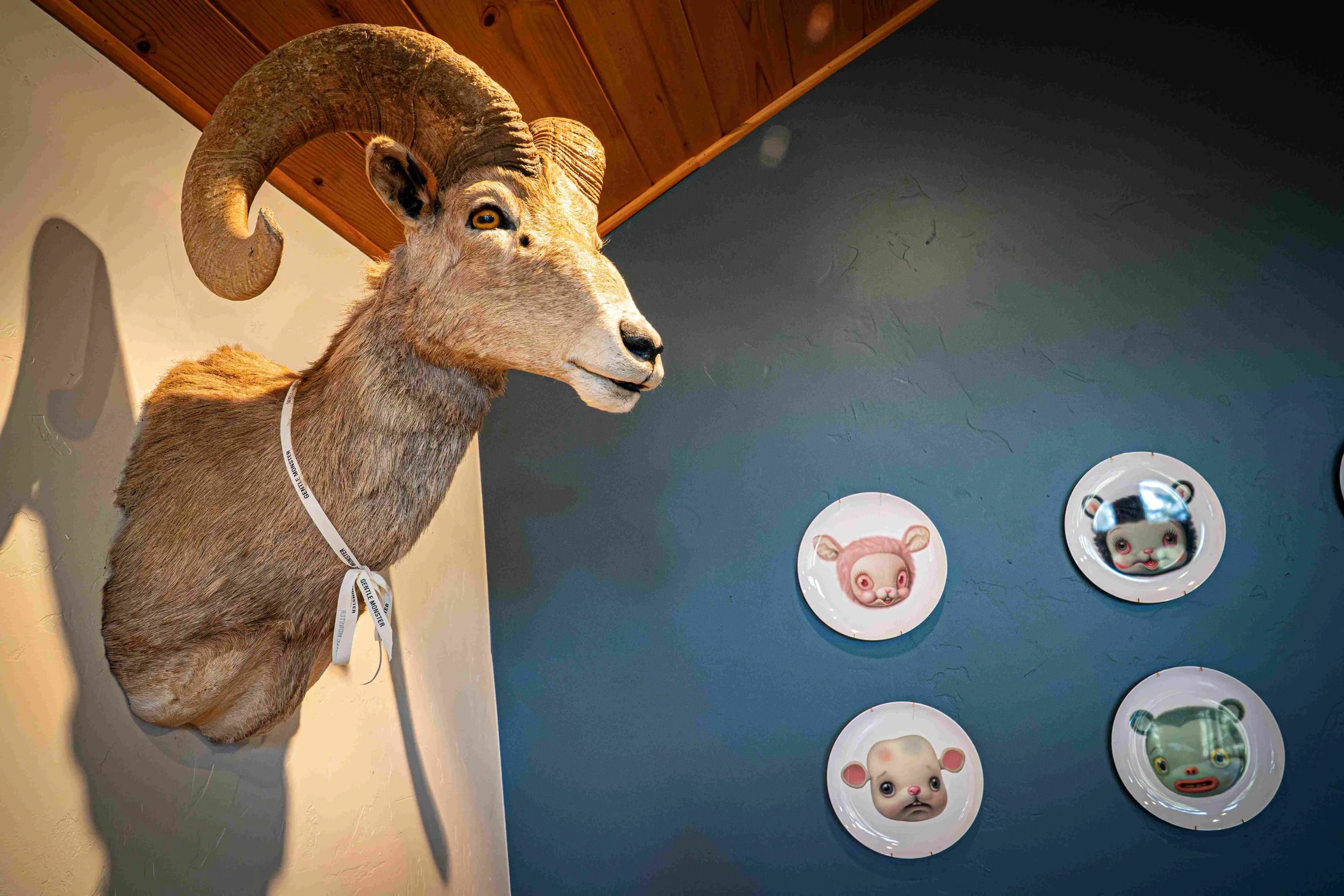 Taxidermied mountain goat head mounted on the wall with large curved horns, with mask-like animal face. To the right, there are four decorative plates on a wall, each with different animal faces including a pig, a cow, a panda, and a pig with a diffe