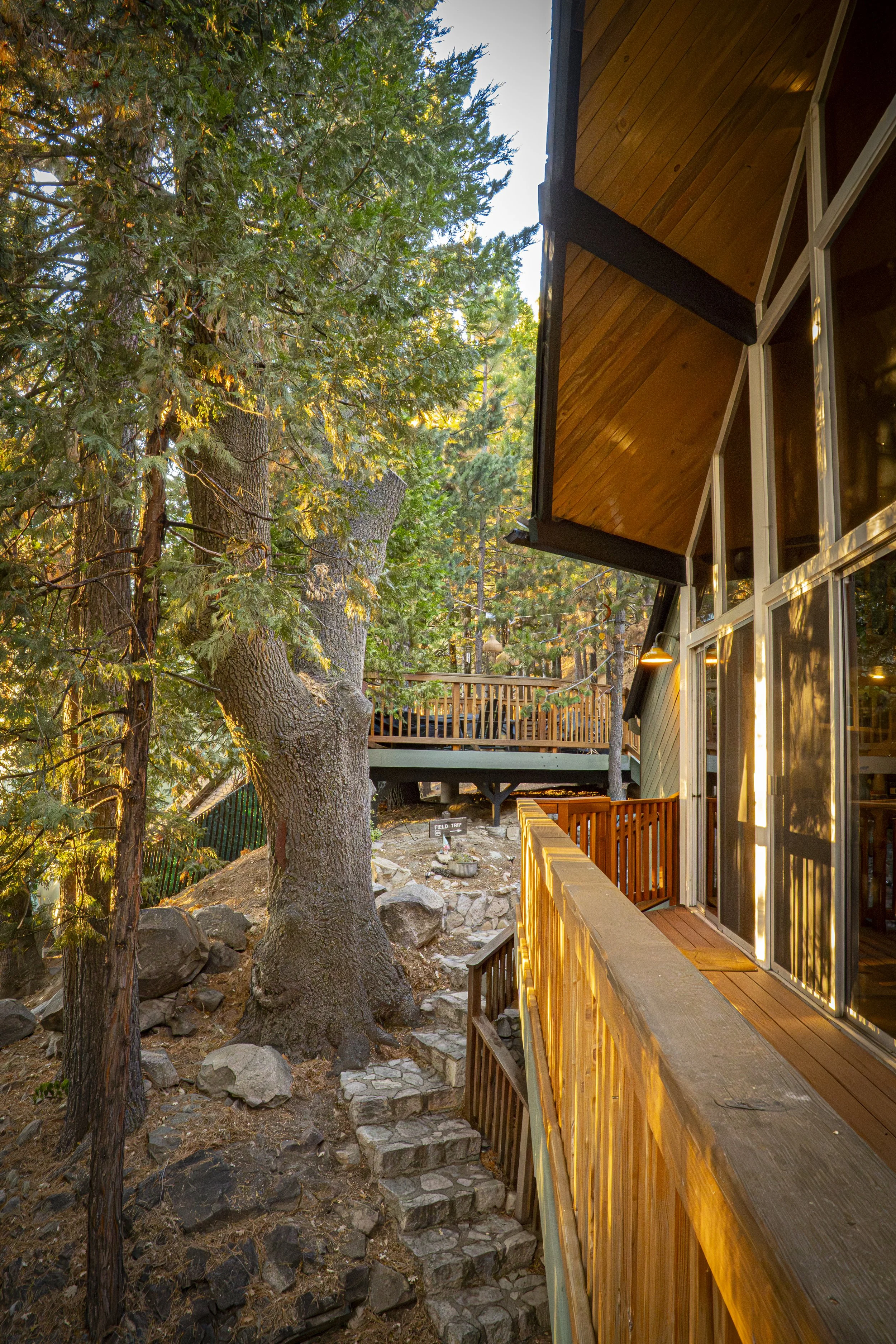 View of wooden house with large windows and deck, with step stairs leading up a rocky, wooded hillside with tall trees.