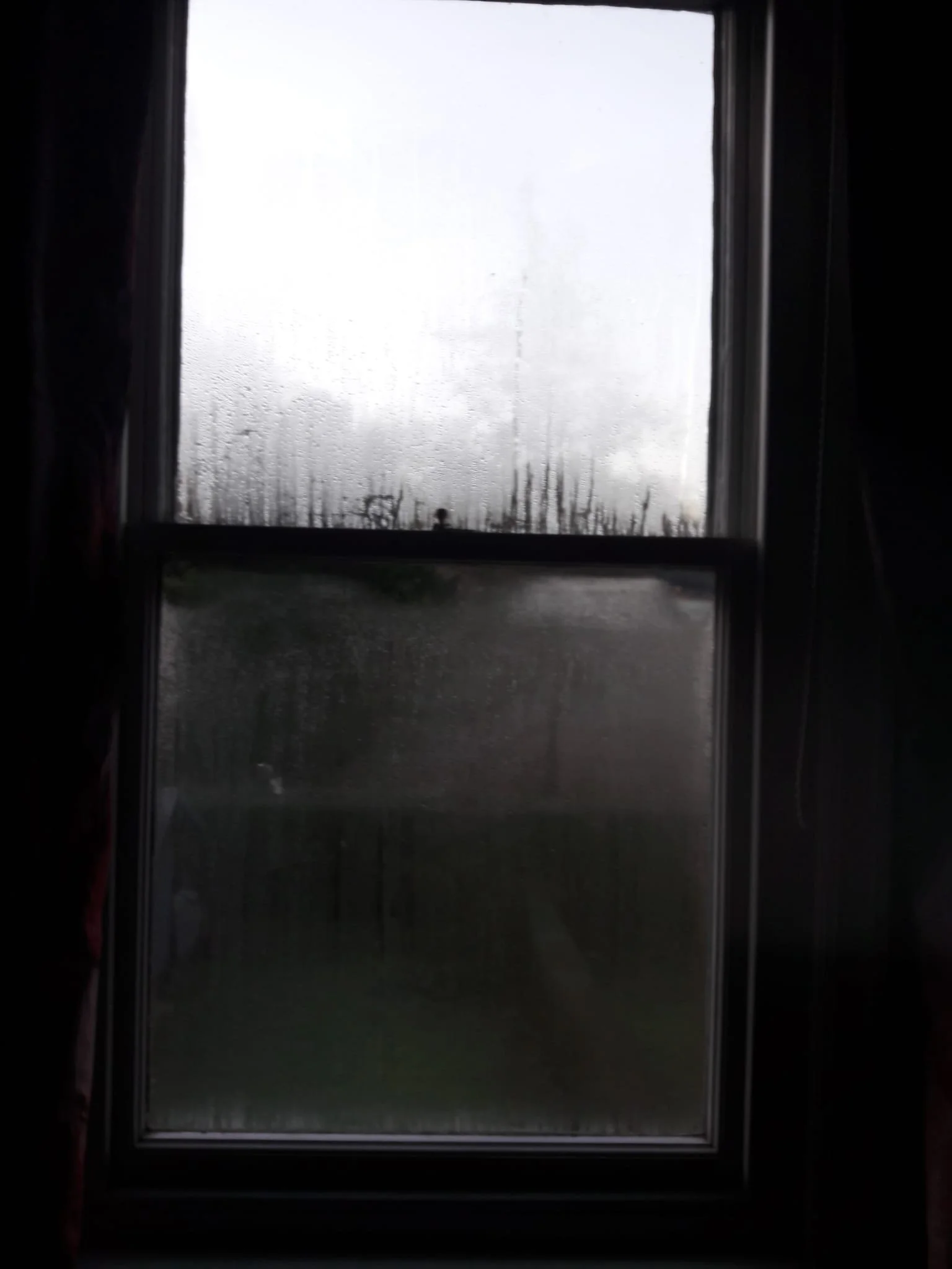 A window with two panes, with moisture or condensation on the glass, showing an outdoor scene likely on a rainy day.