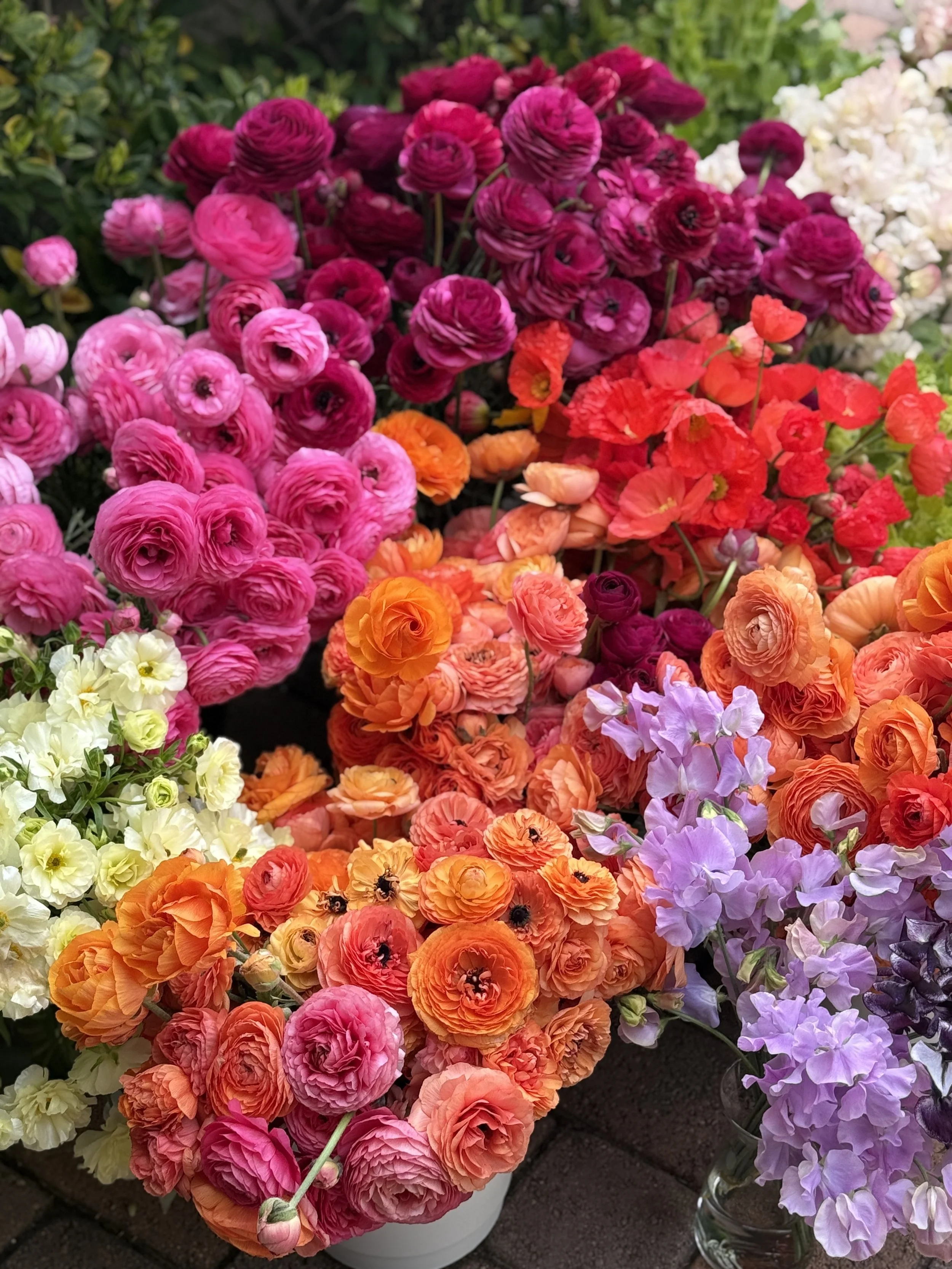 Spring Flower Subscription