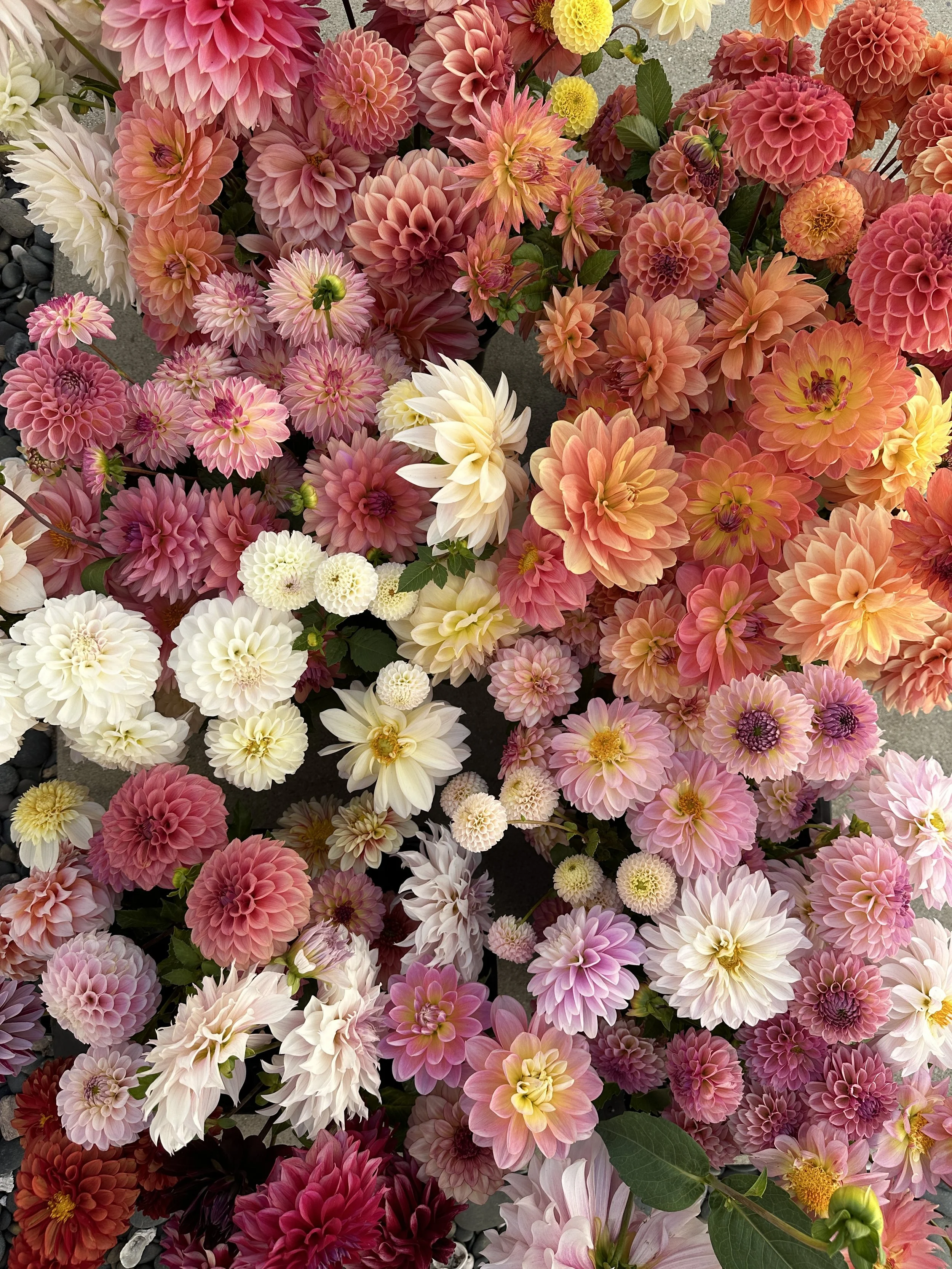 Deluxe Summer Arrangement