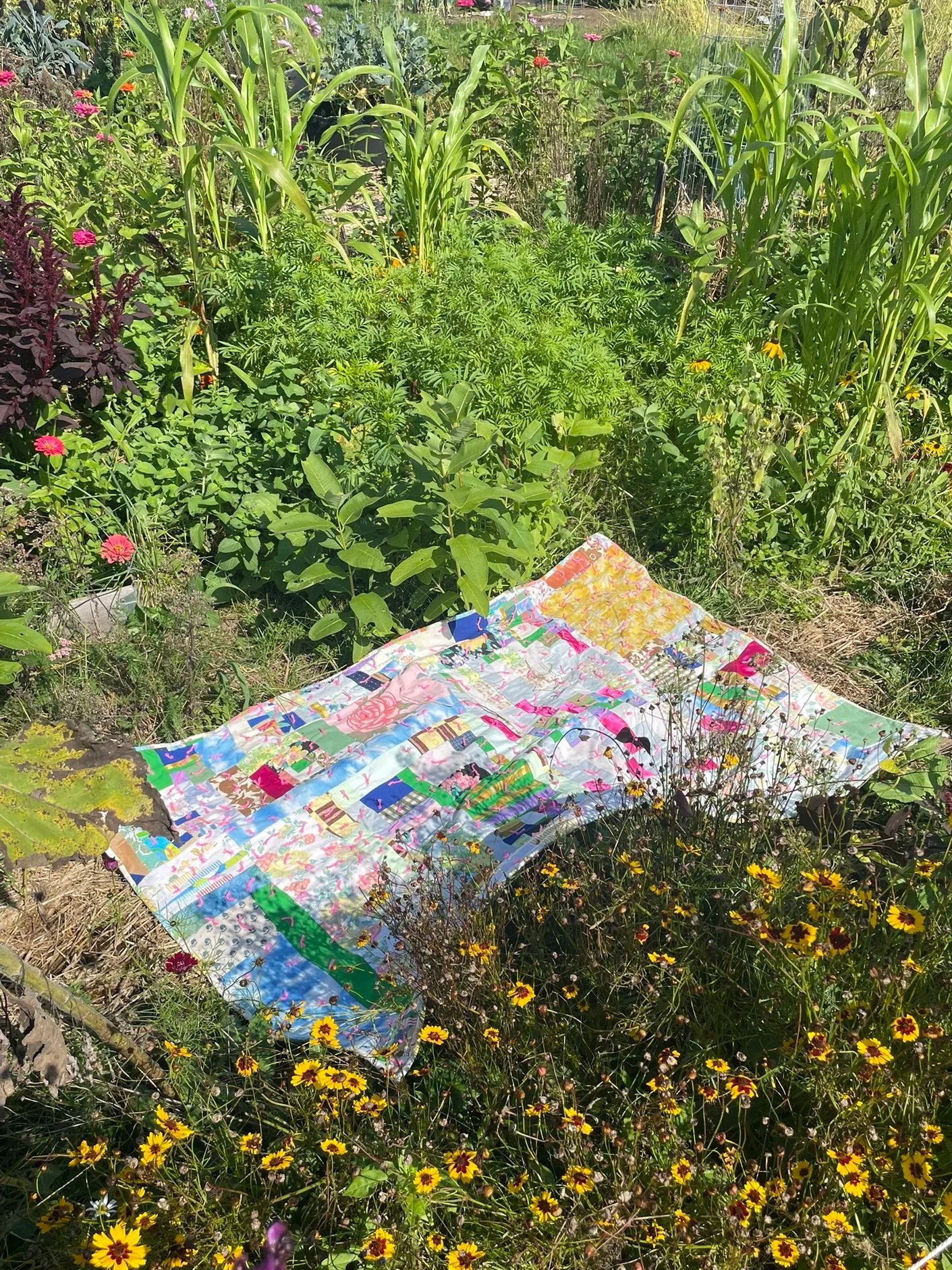 IMG_9013.jpg