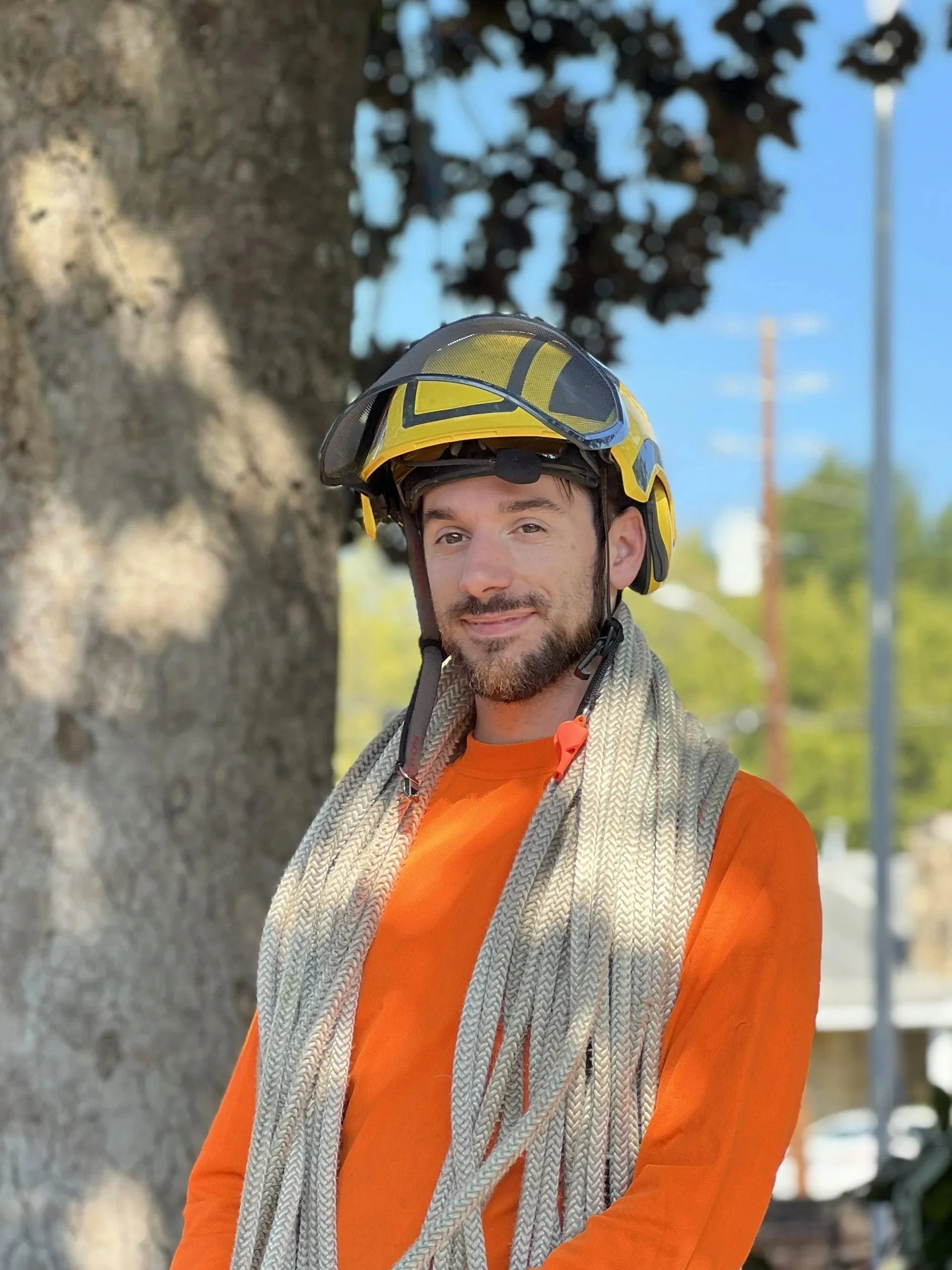 Owner after climbing tree for risk assessment