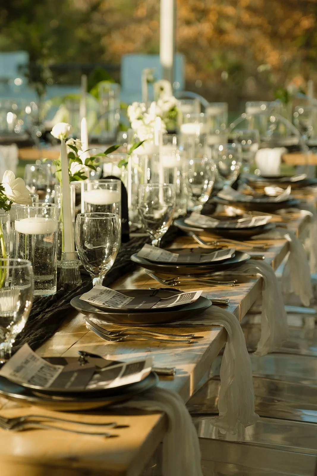 Eva & Ryan  ||  11.15.25