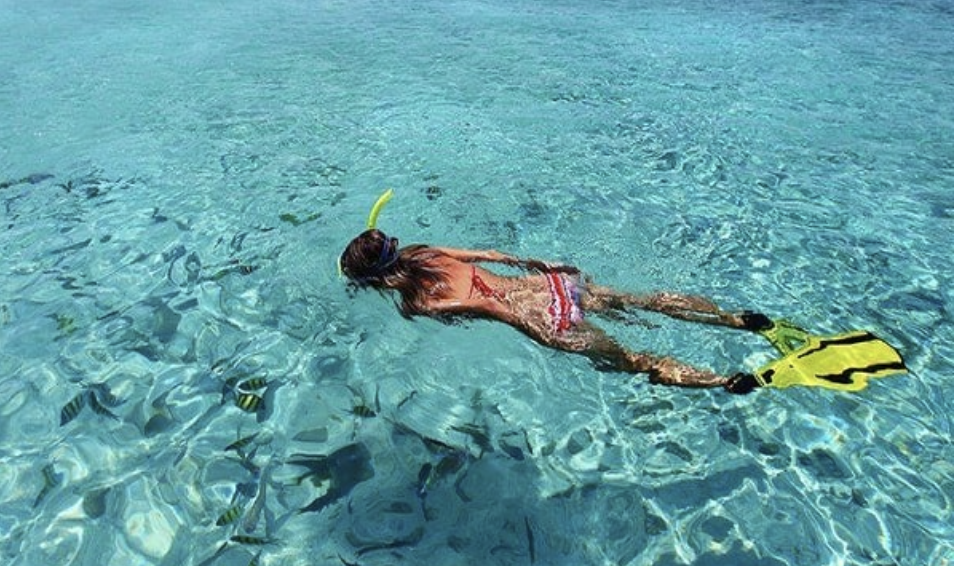 Screenshot 2025-02-05 at 8.54.14 p.m..png