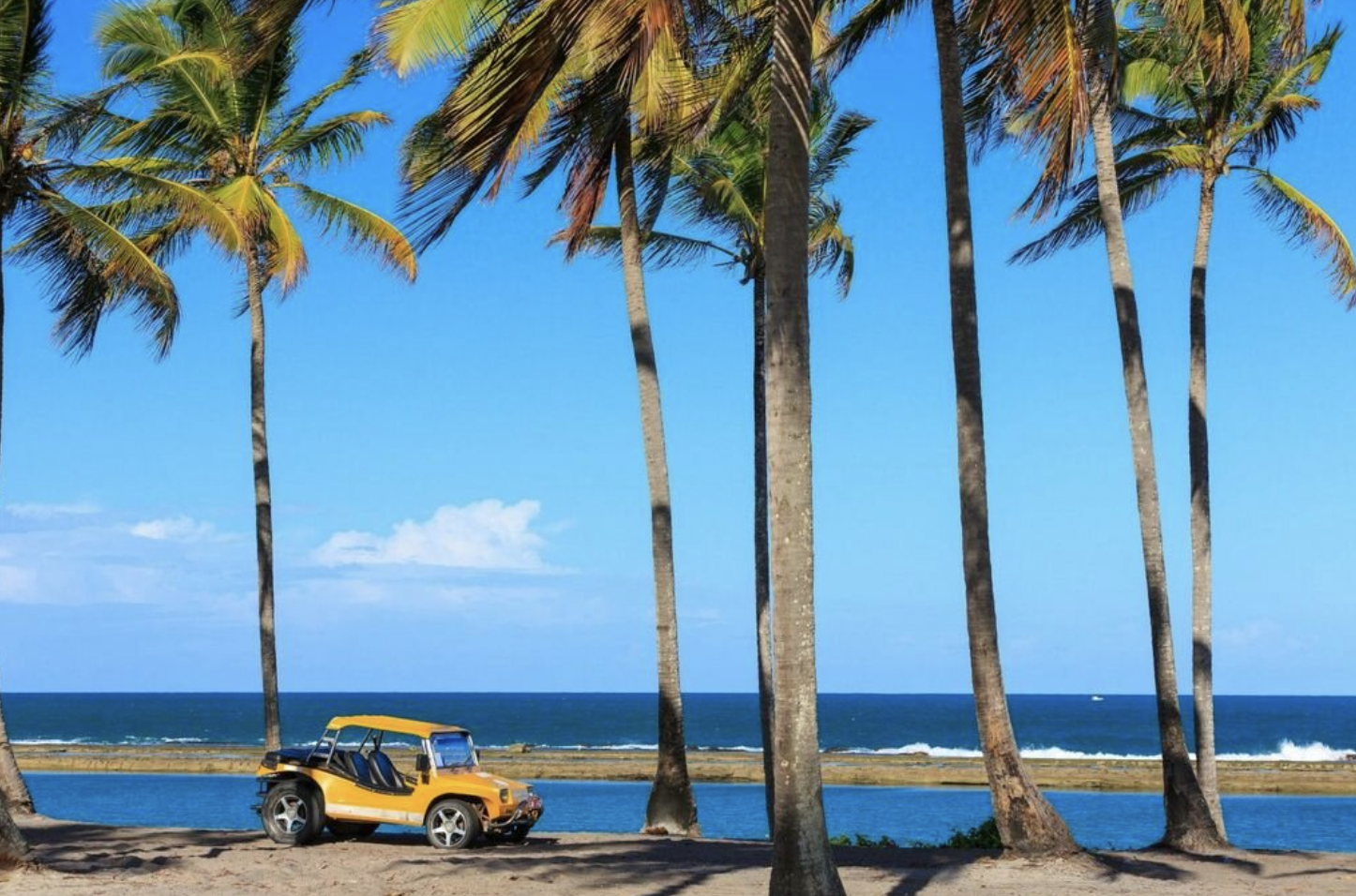 Screenshot 2025-02-05 at 8.27.32 p.m..png