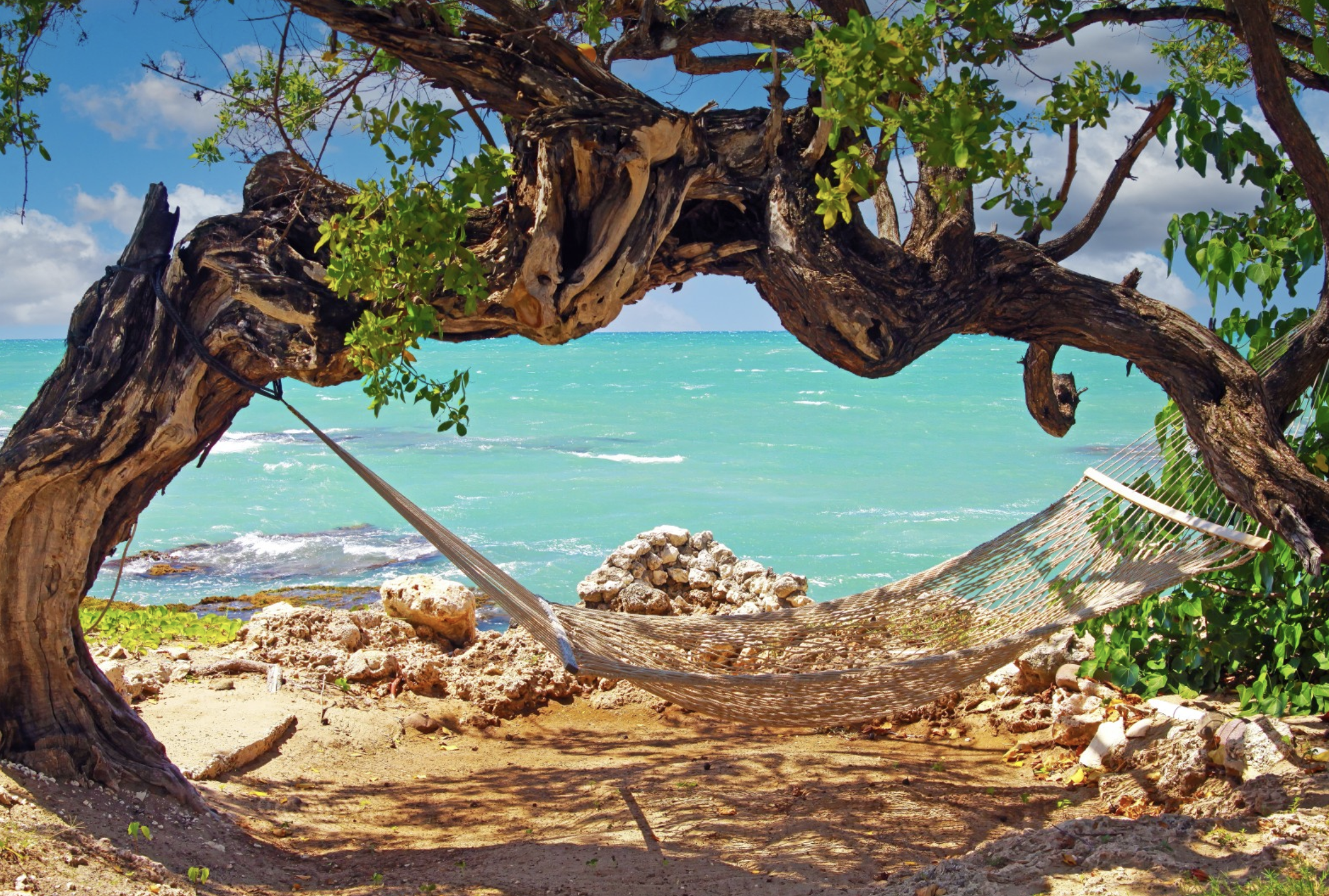 Screenshot 2025-02-05 at 6.51.27 p.m..png