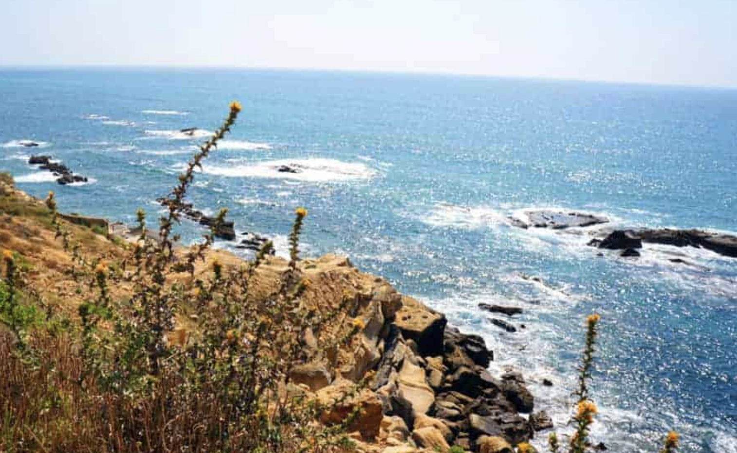 Screenshot 2025-02-05 at 7.58.17 p.m..png