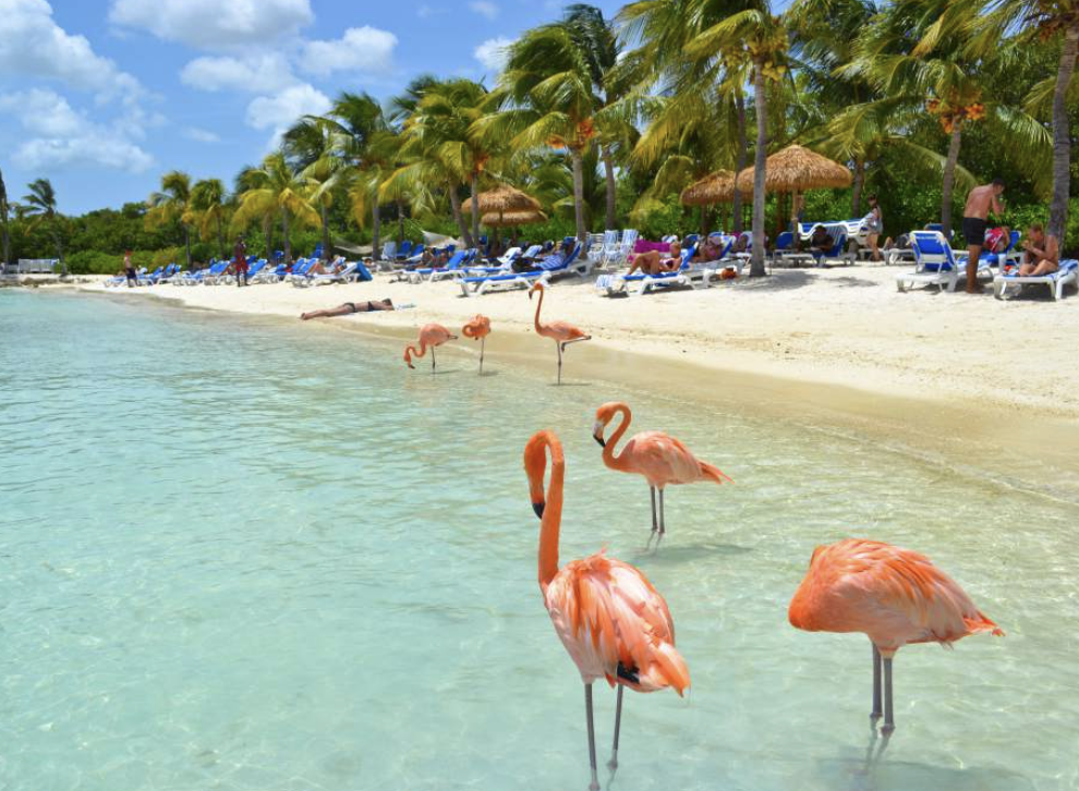 Screenshot 2025-02-06 at 10.02.25 a.m..png