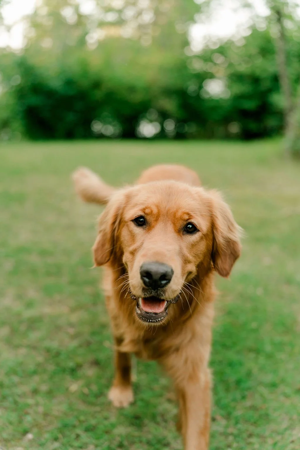 lake-max-manitoba-engagement-photography-mb-lake-engagement-photographer-filmed-by-silas-weddings-cochrane-wedding-videographer-cochrane-wedding-photographer-filmed-by-silas-weddings
