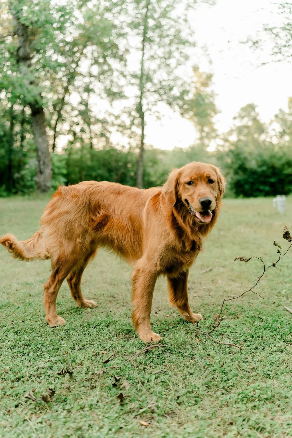 lake-max-manitoba-engagement-photography-mb-lake-engagement-photographer-filmed-by-silas-weddings-cochrane-wedding-videographer-cochrane-wedding-photographer-filmed-by-silas-weddings
