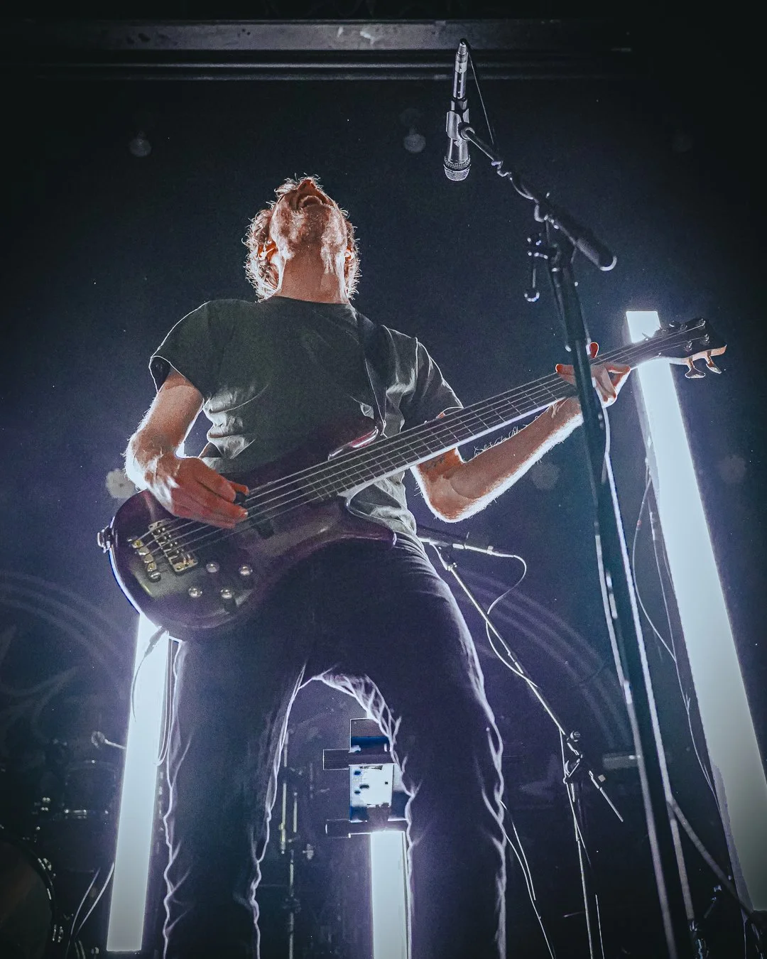 VOLA-1.jpg
