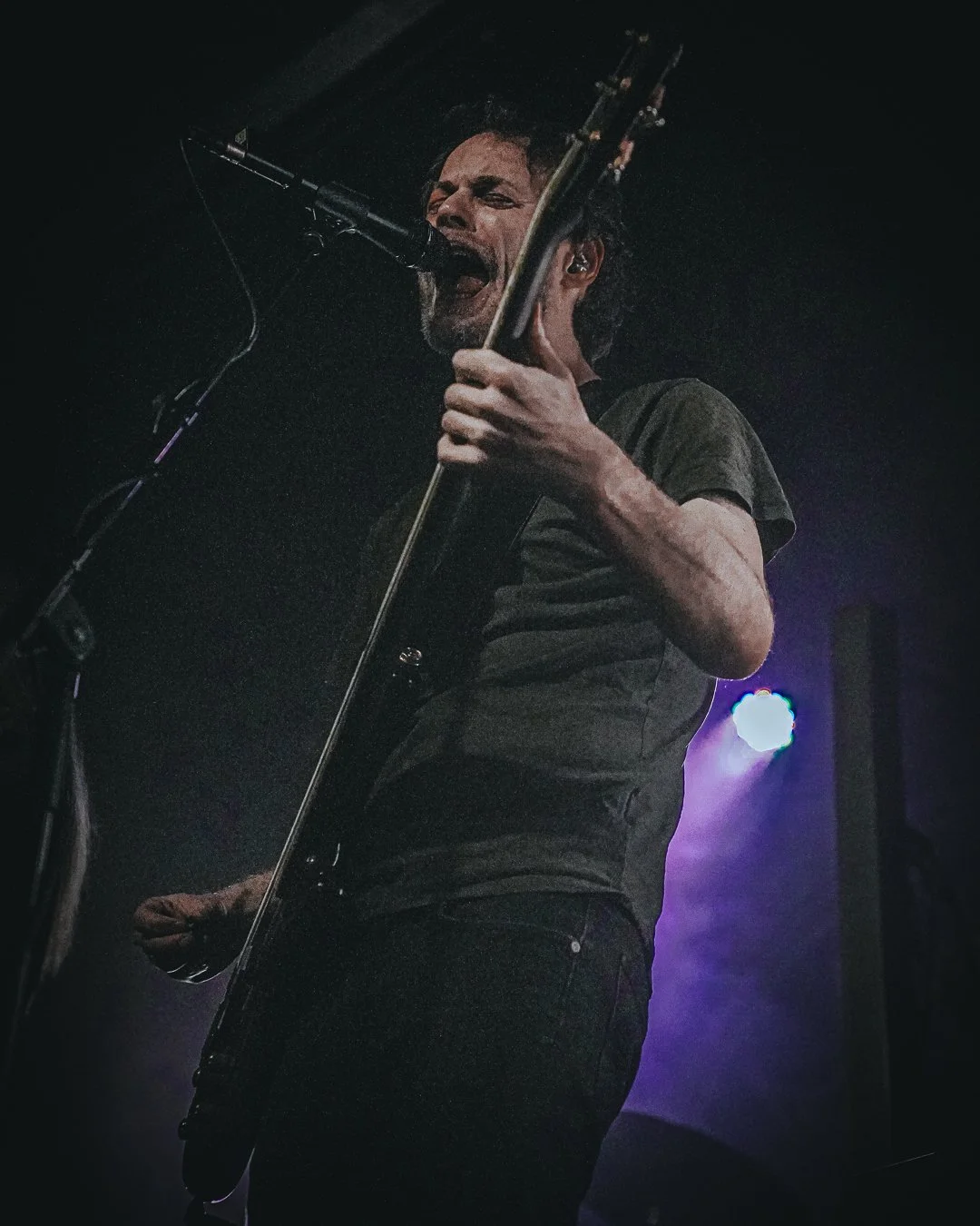 VOLA-5.jpg