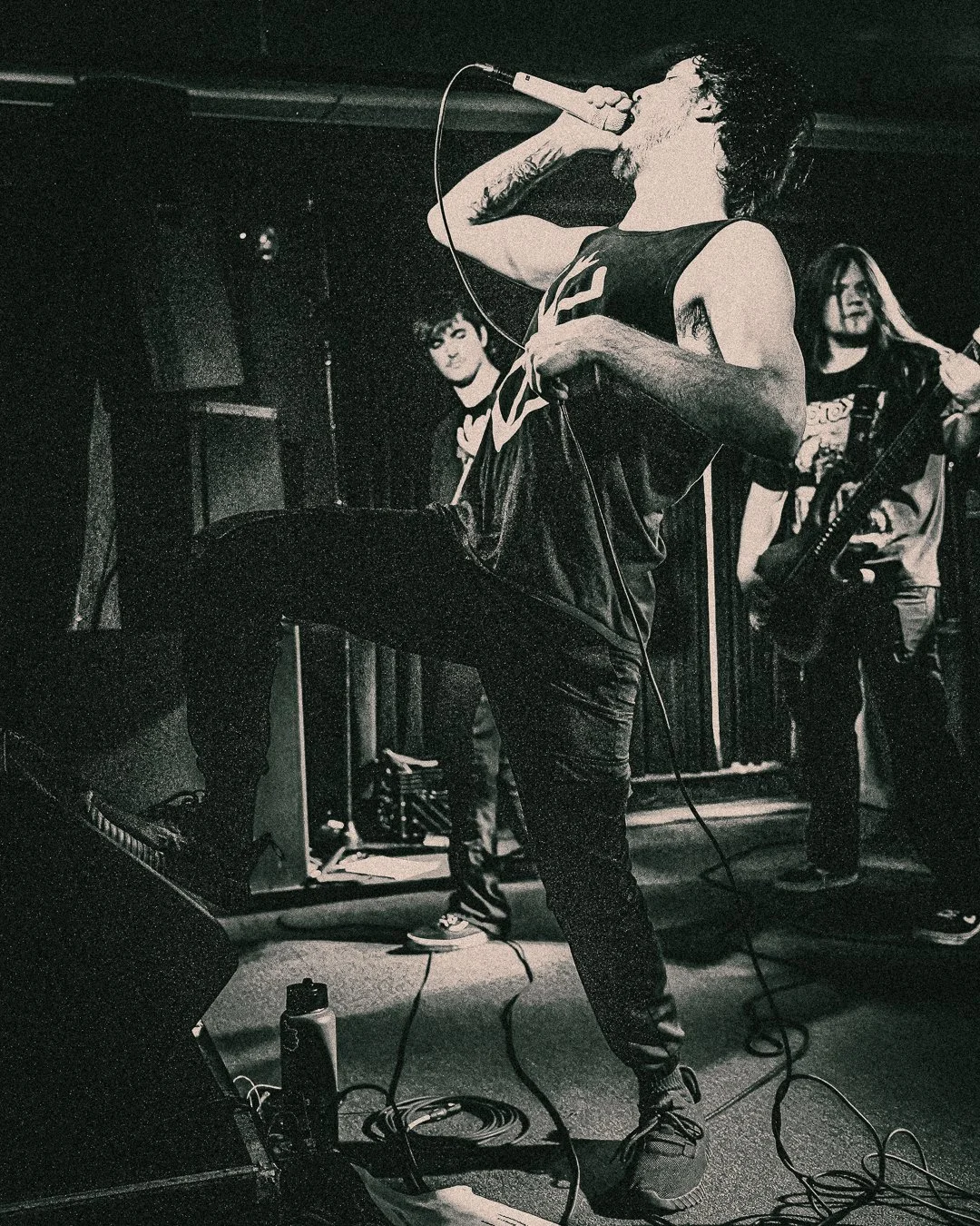 Vexatious-05.jpg
