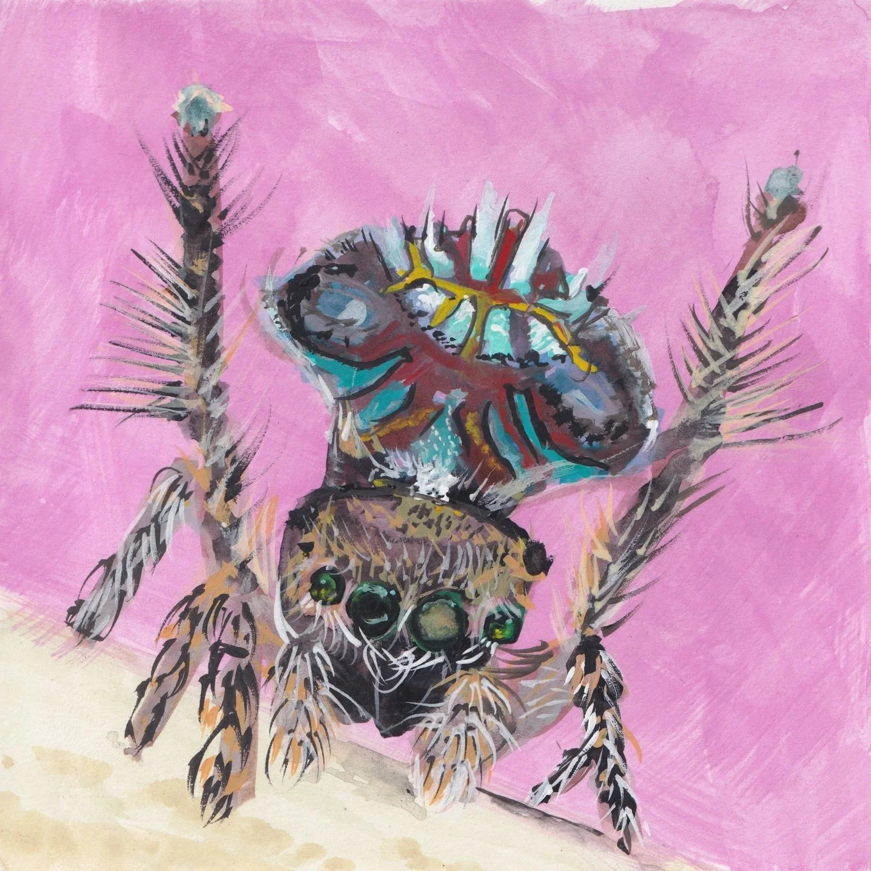 TestSpider.jpg