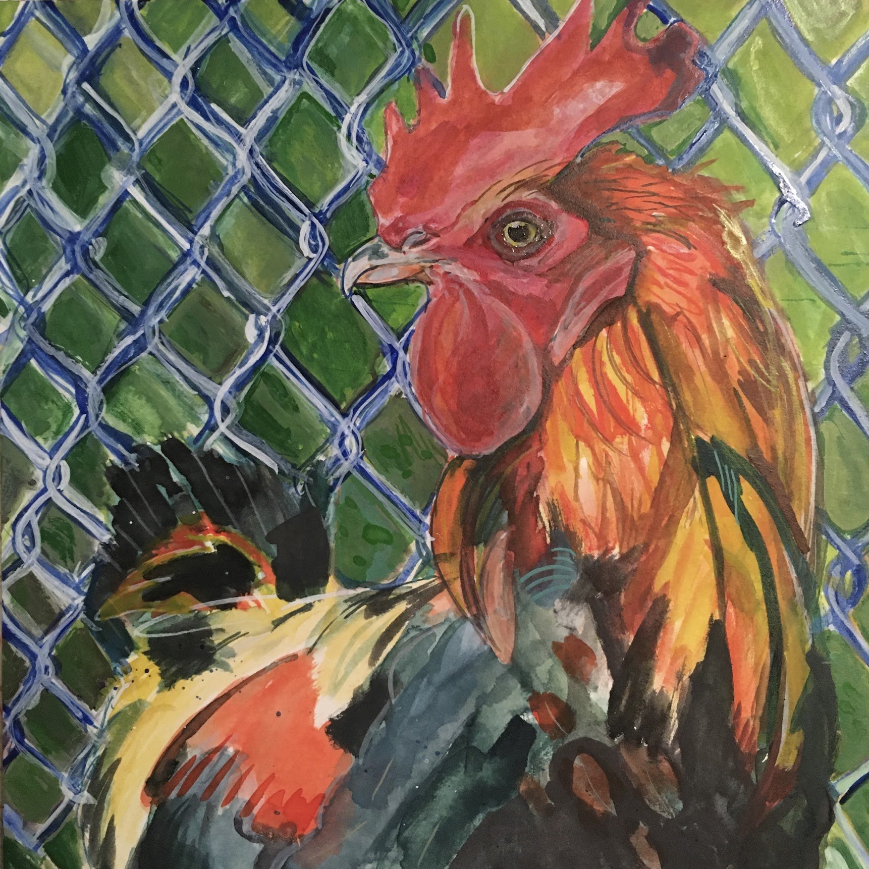 fence chicken.JPG