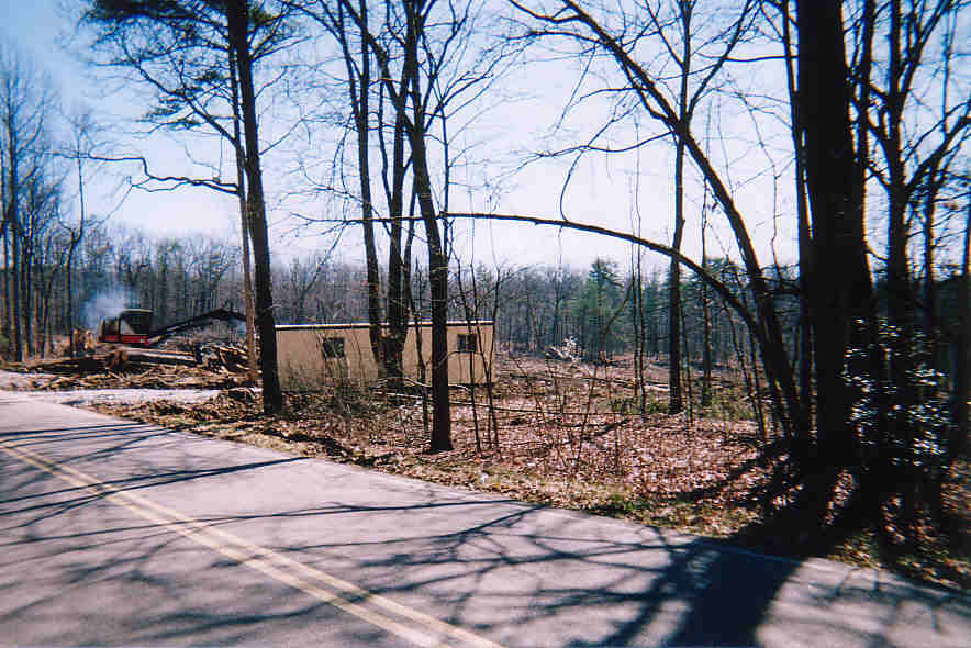 Site Work7.jpg