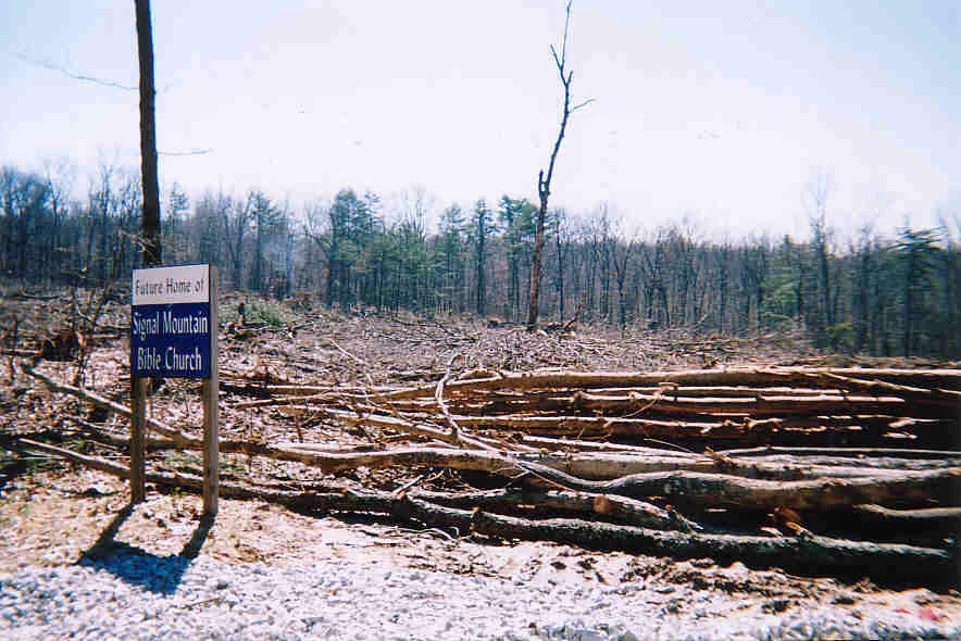 Site Work4.jpg