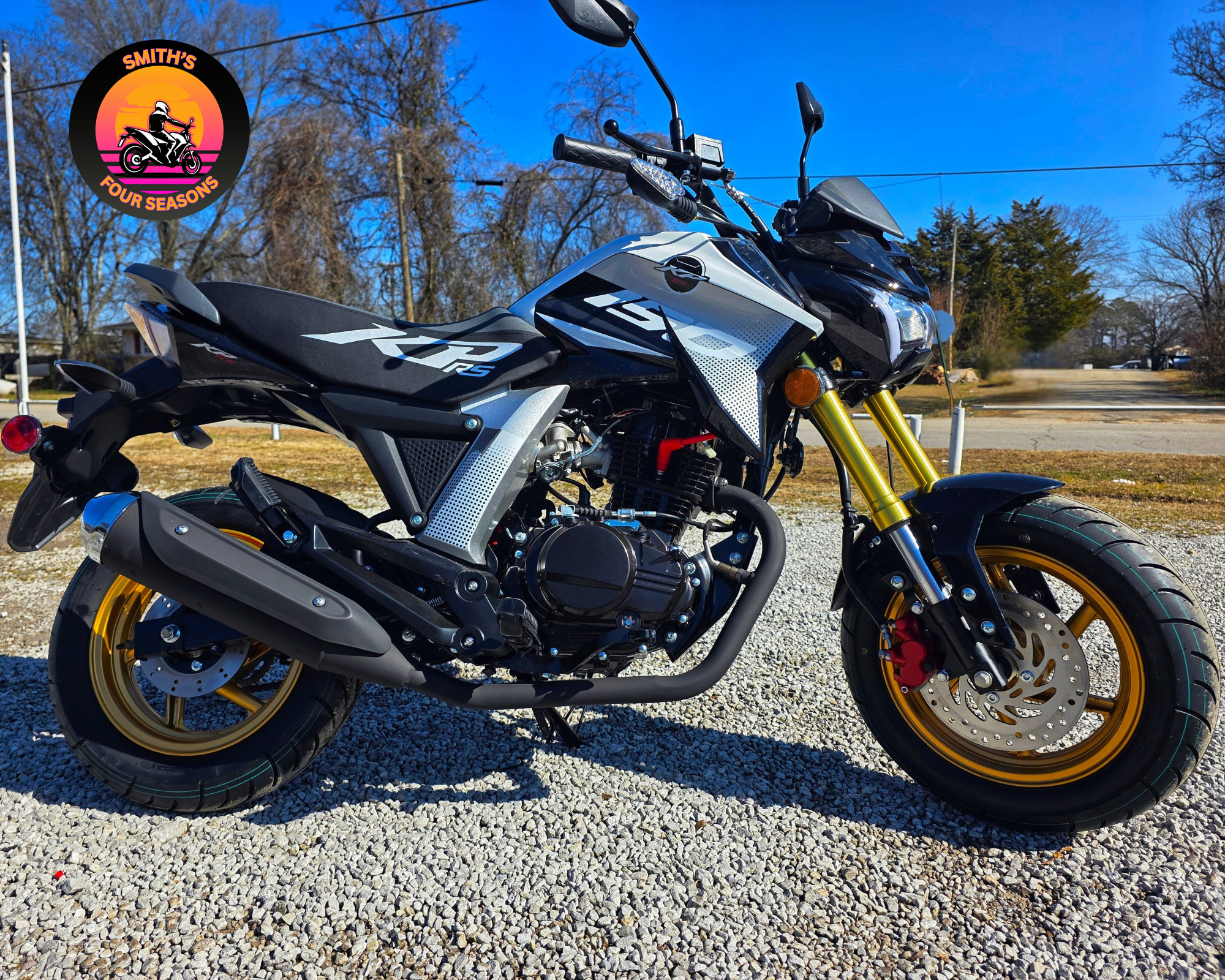 Untitled design(84).png