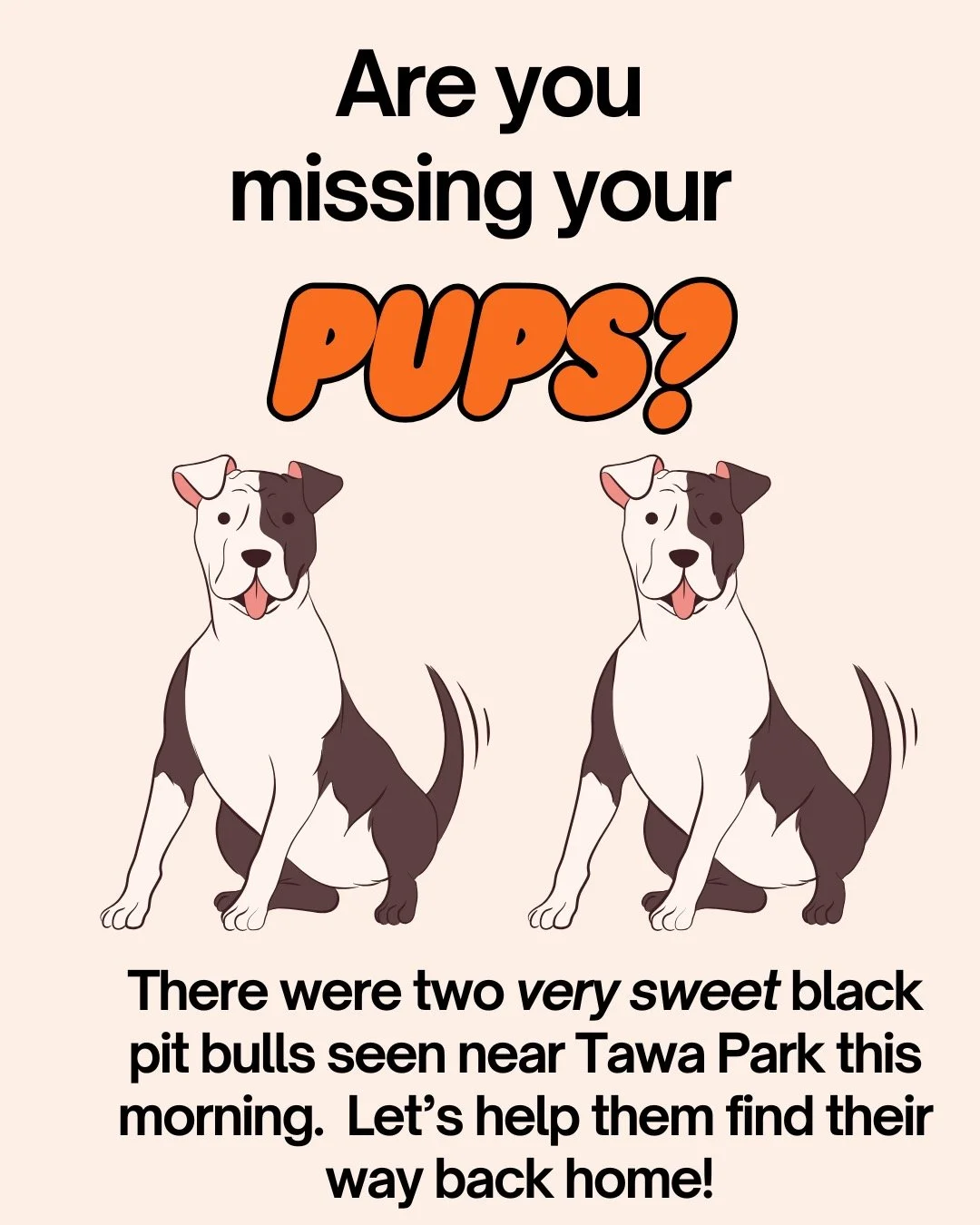 If you or your neighbor are missing your sweet pups, please check near Tawa Park! Spread the word to help get these sweet, black male (fixed) pups back to their homes.