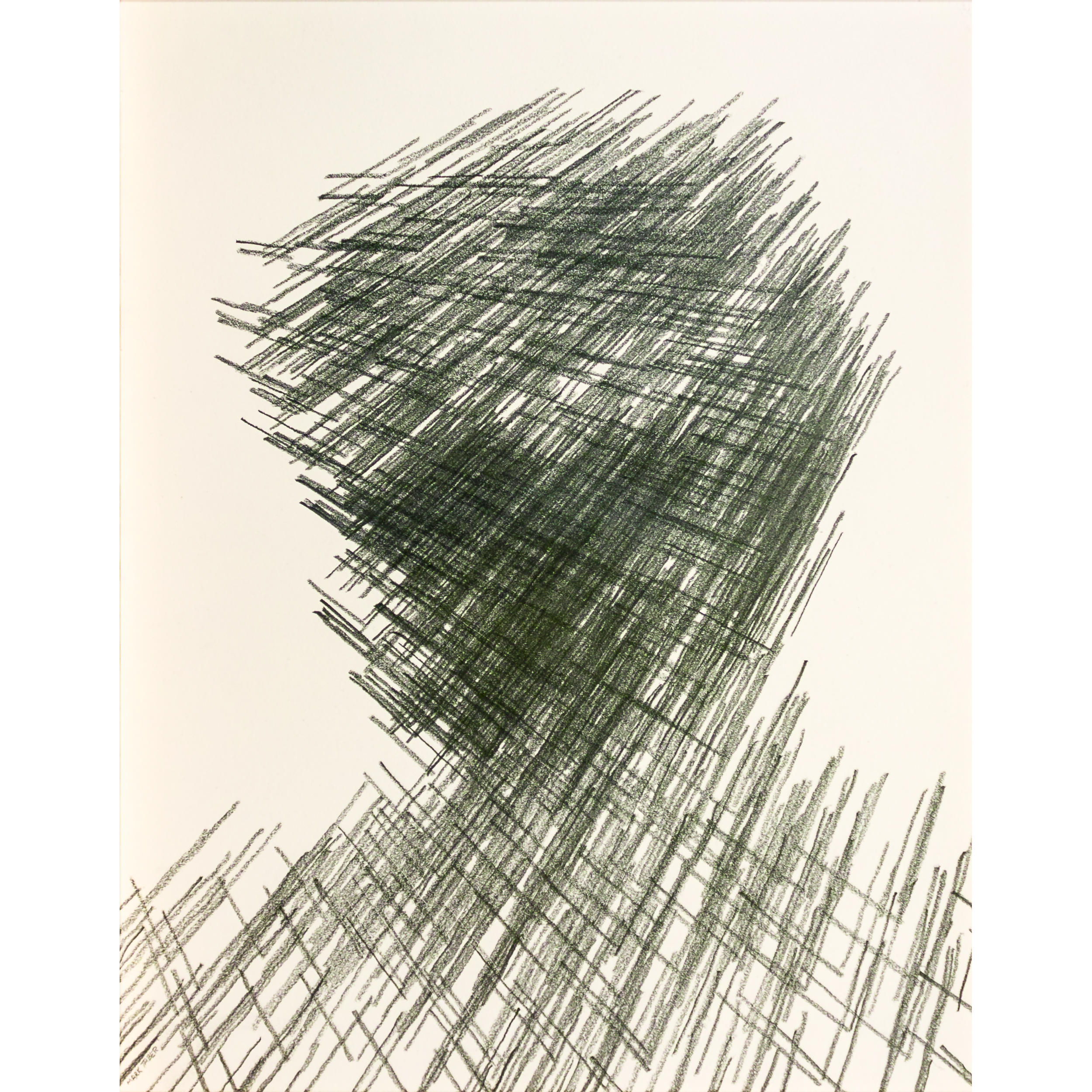 Force of Nature {Male Portrait 45}