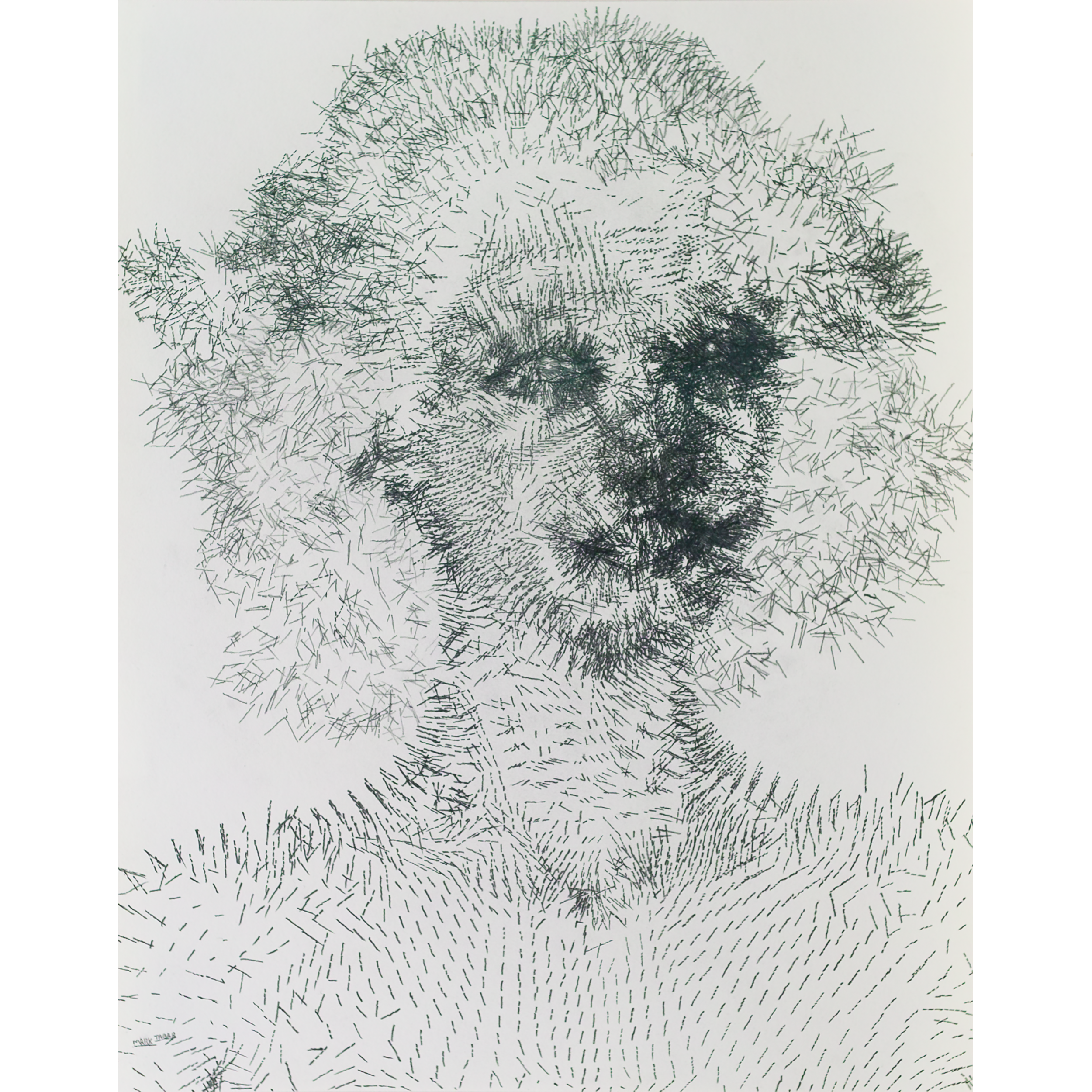 Force of Nature {016 Female Portrait}